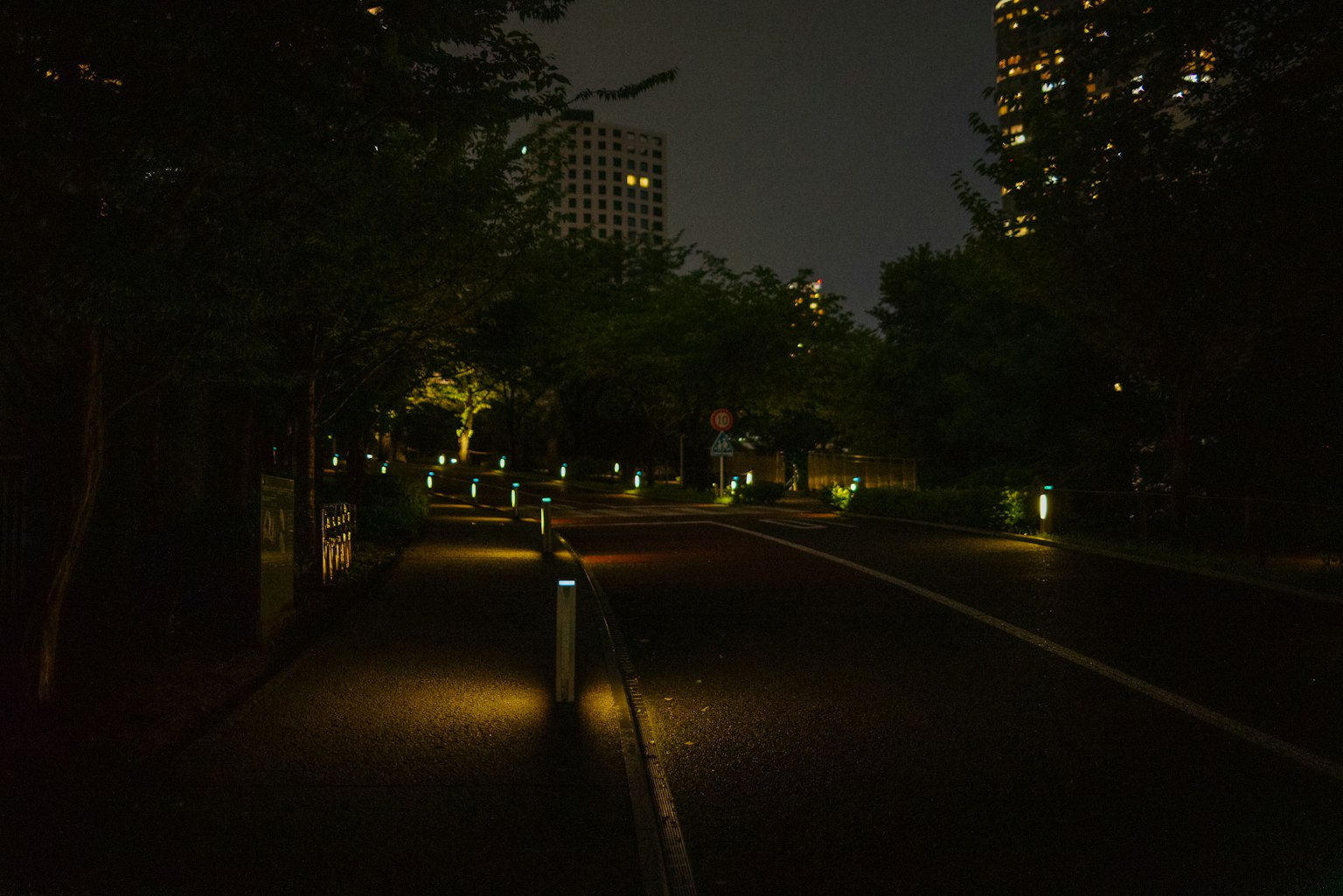 夜间公园小径，环绕着树木和环境照明