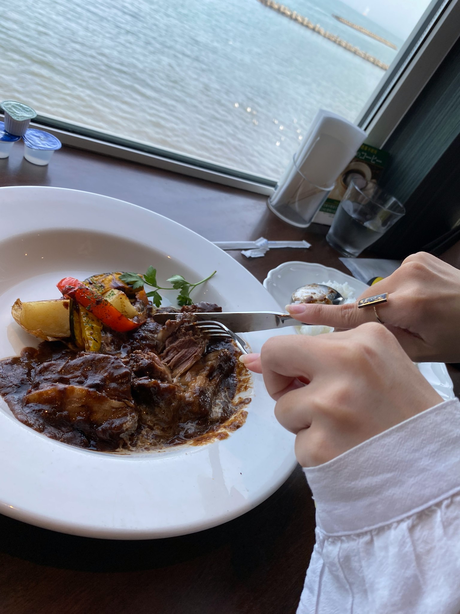 A hand holding a knife and fork over a plate of food with a view of the sea