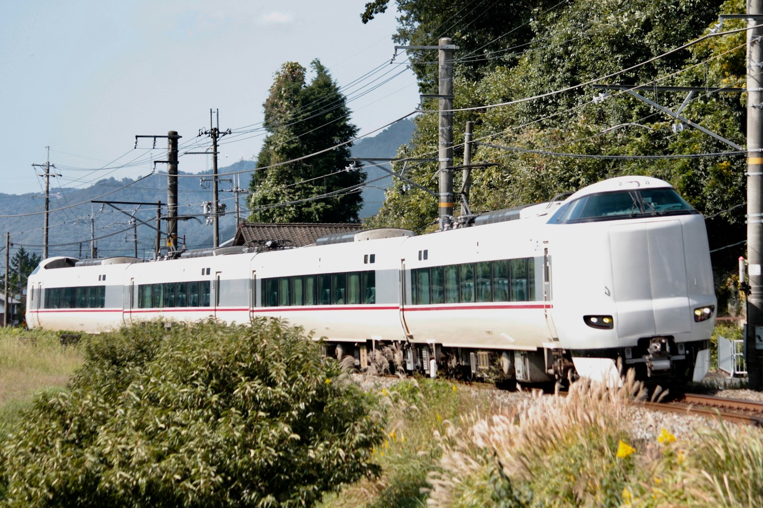 A white train running through a green landscape