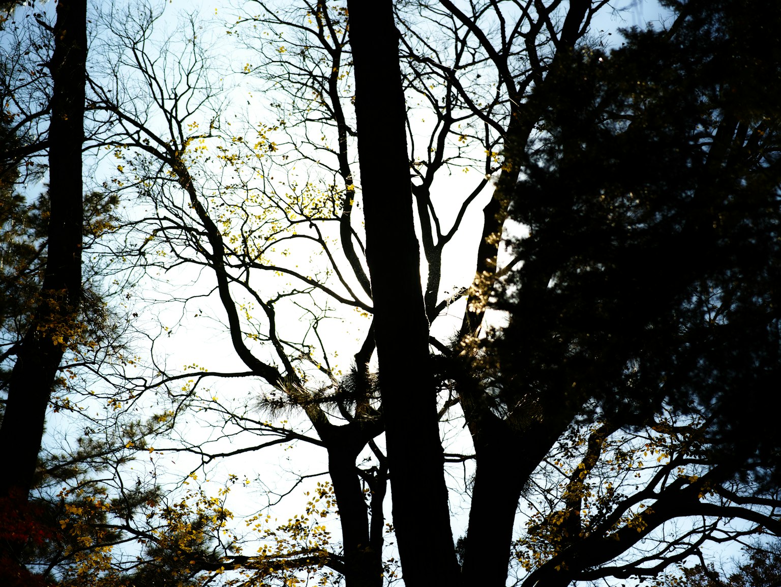 photo-viIz1cfCB4N8zZ5BkaaO-image