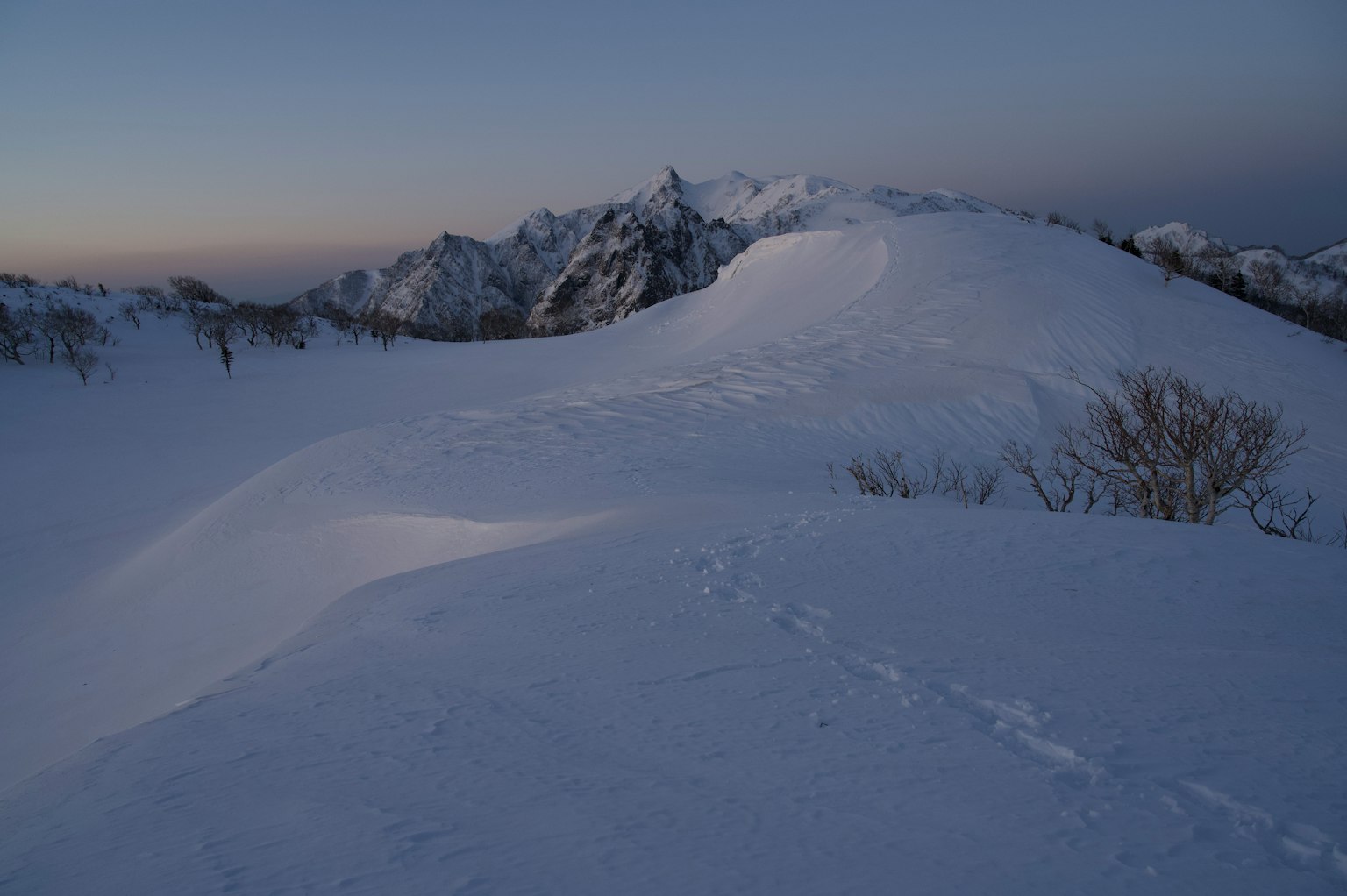 photo-viMPnNProsIEsNrE4b59-image