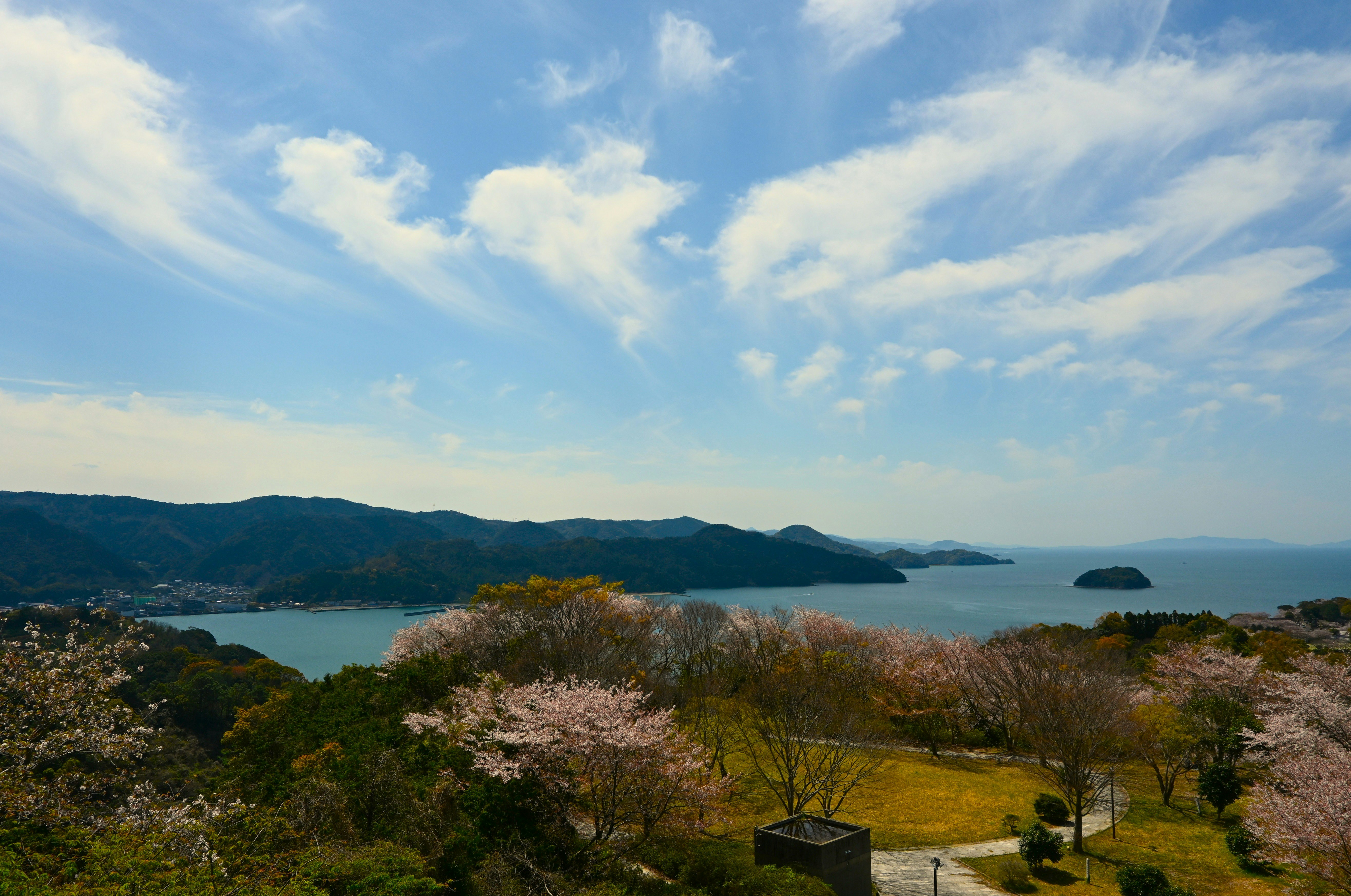 海と山並みを望む桜の咲く景色