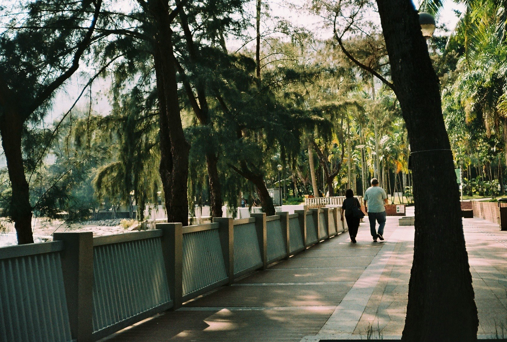 viale del parco con persone che camminano lungo un sentiero alberato