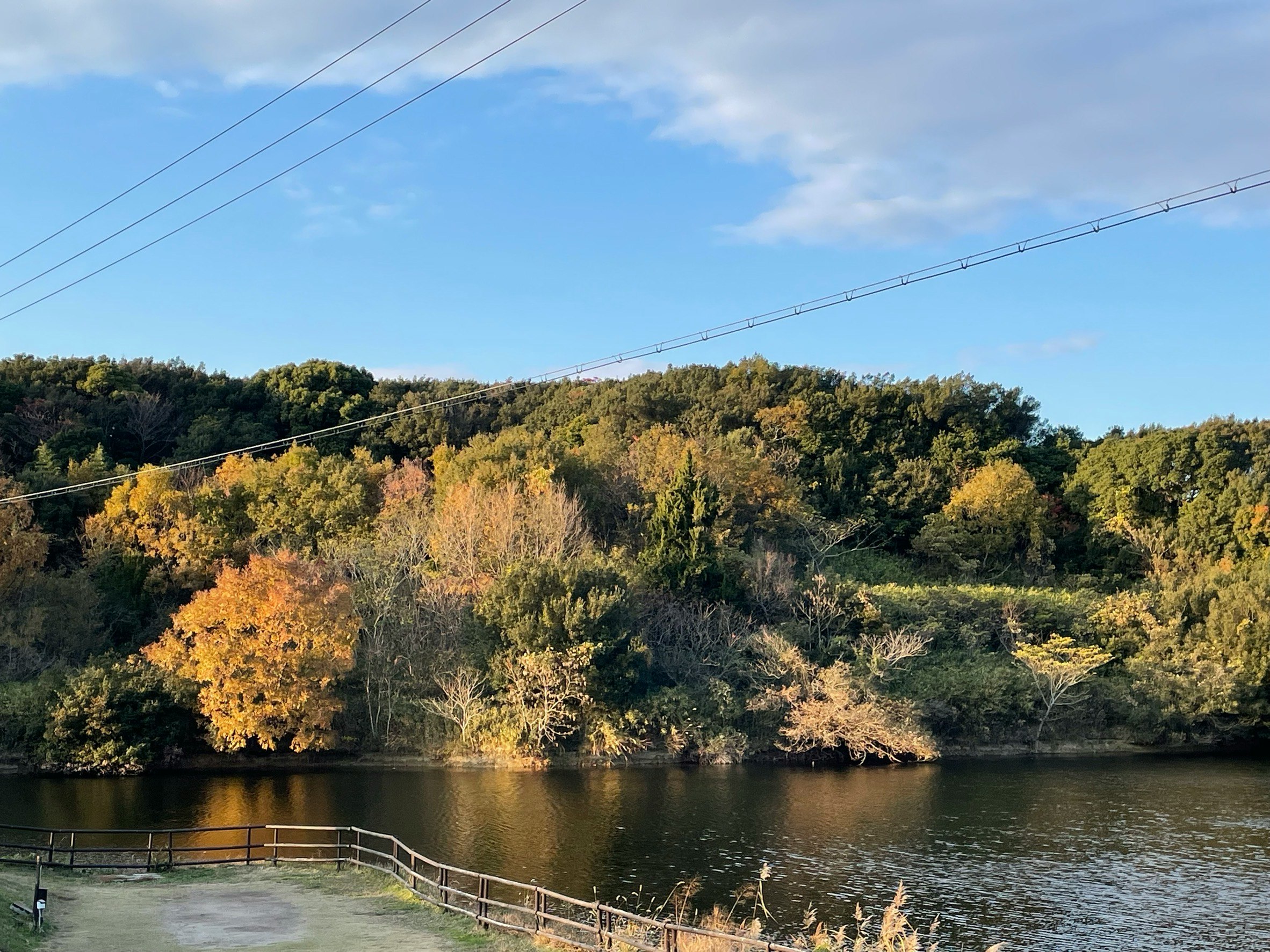 湖畔の紅葉と森の景色