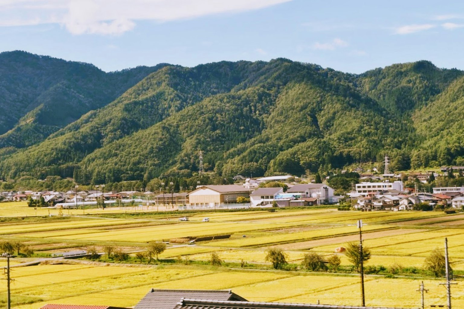 ทิวทัศน์ที่สวยงามของภูเขาเขียวขจีและนาข้าว