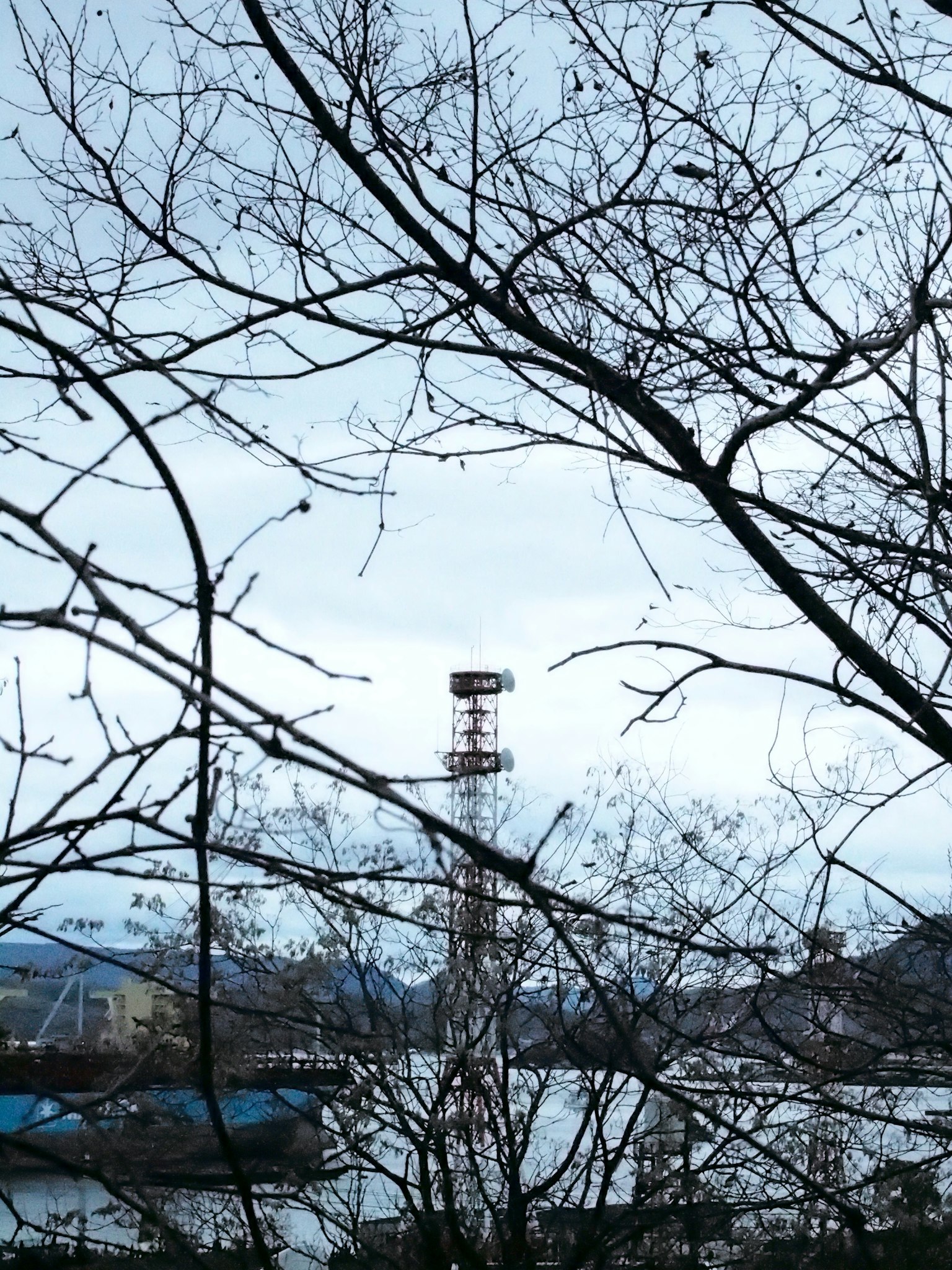View of a tower by the water through bare branches