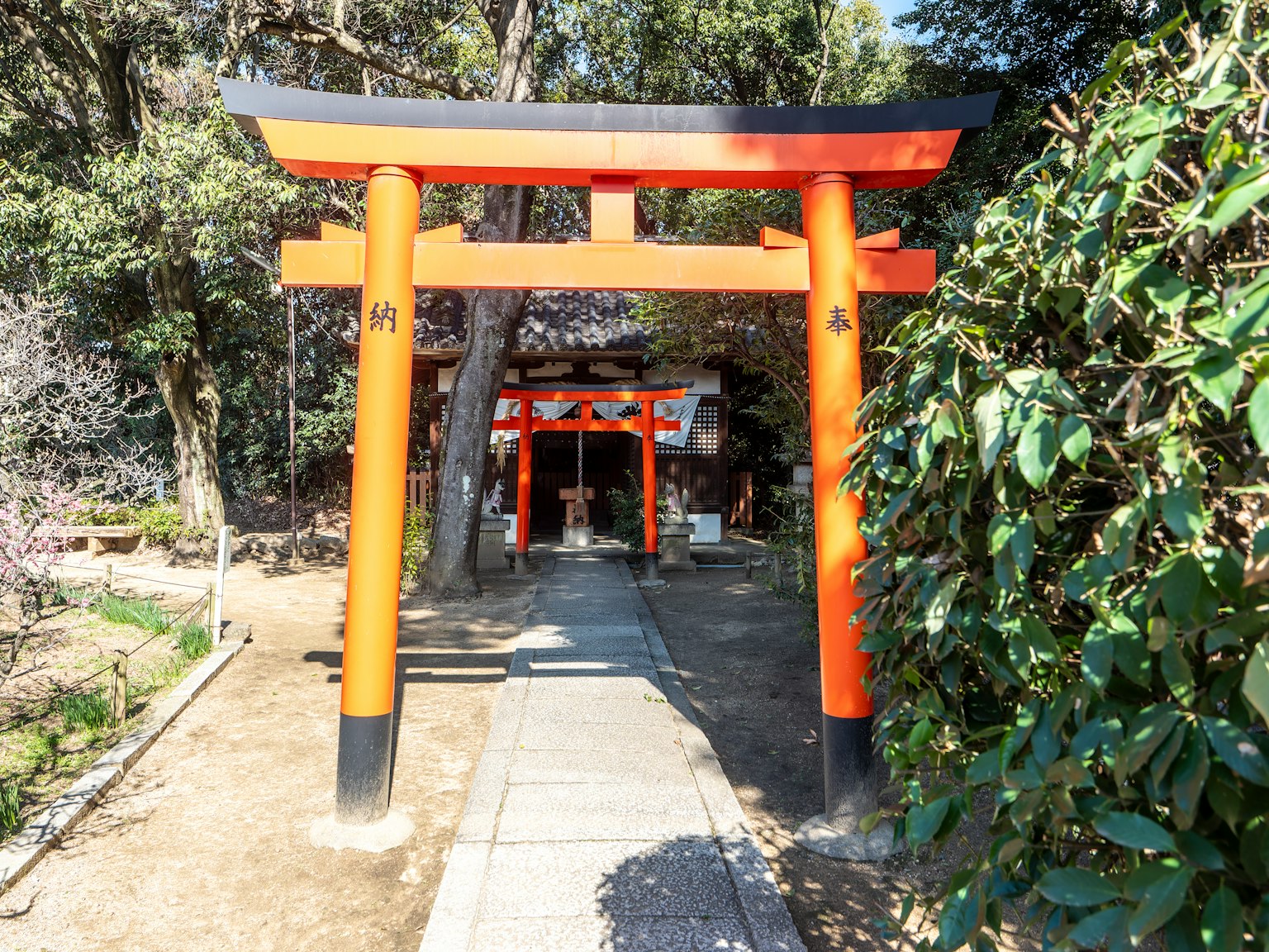 Pathway lined with red torii gates leading to a shrine
