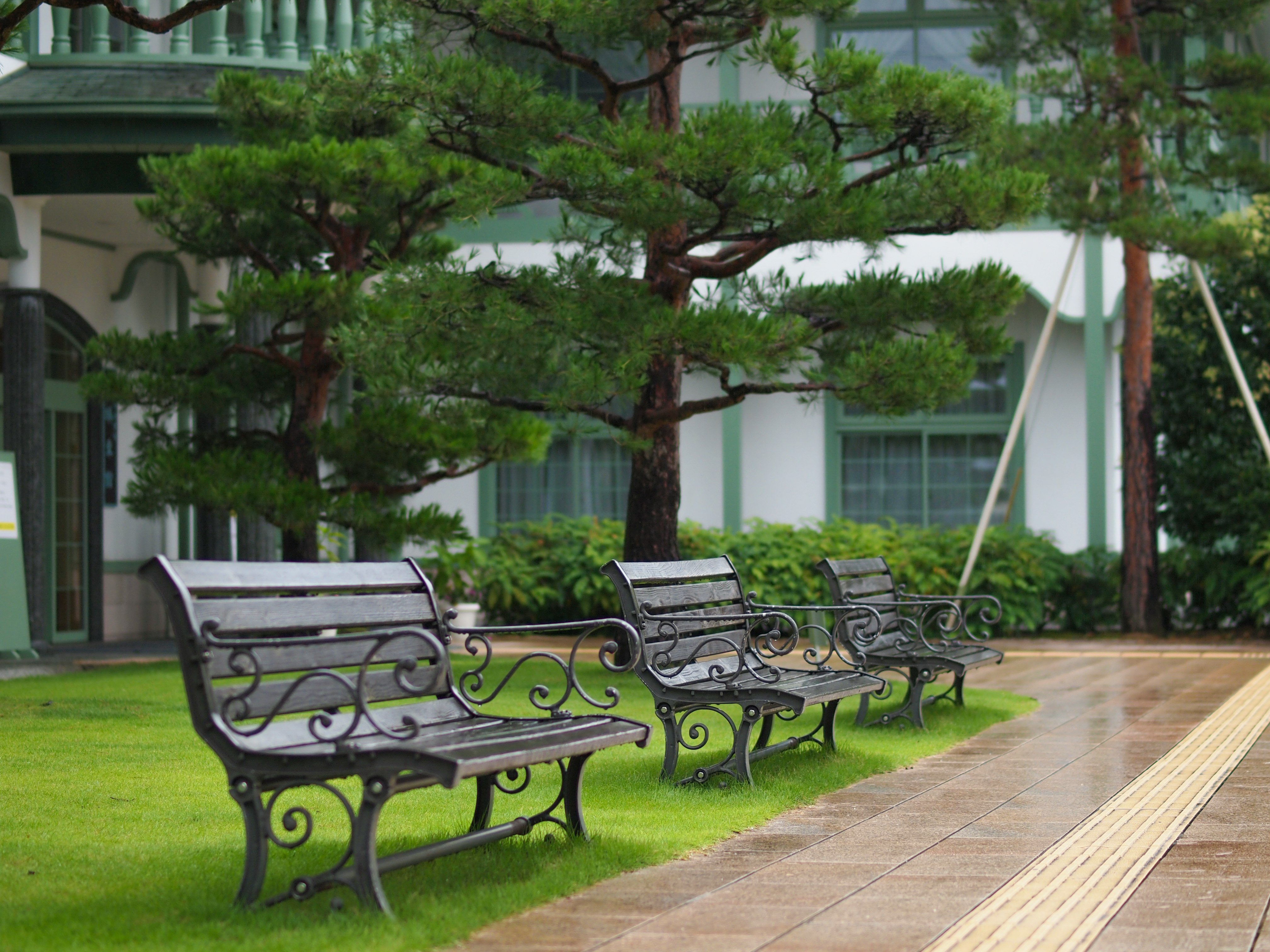高山市図書館 煥章館の雨天の中庭に並ぶベンチと芝生の小道