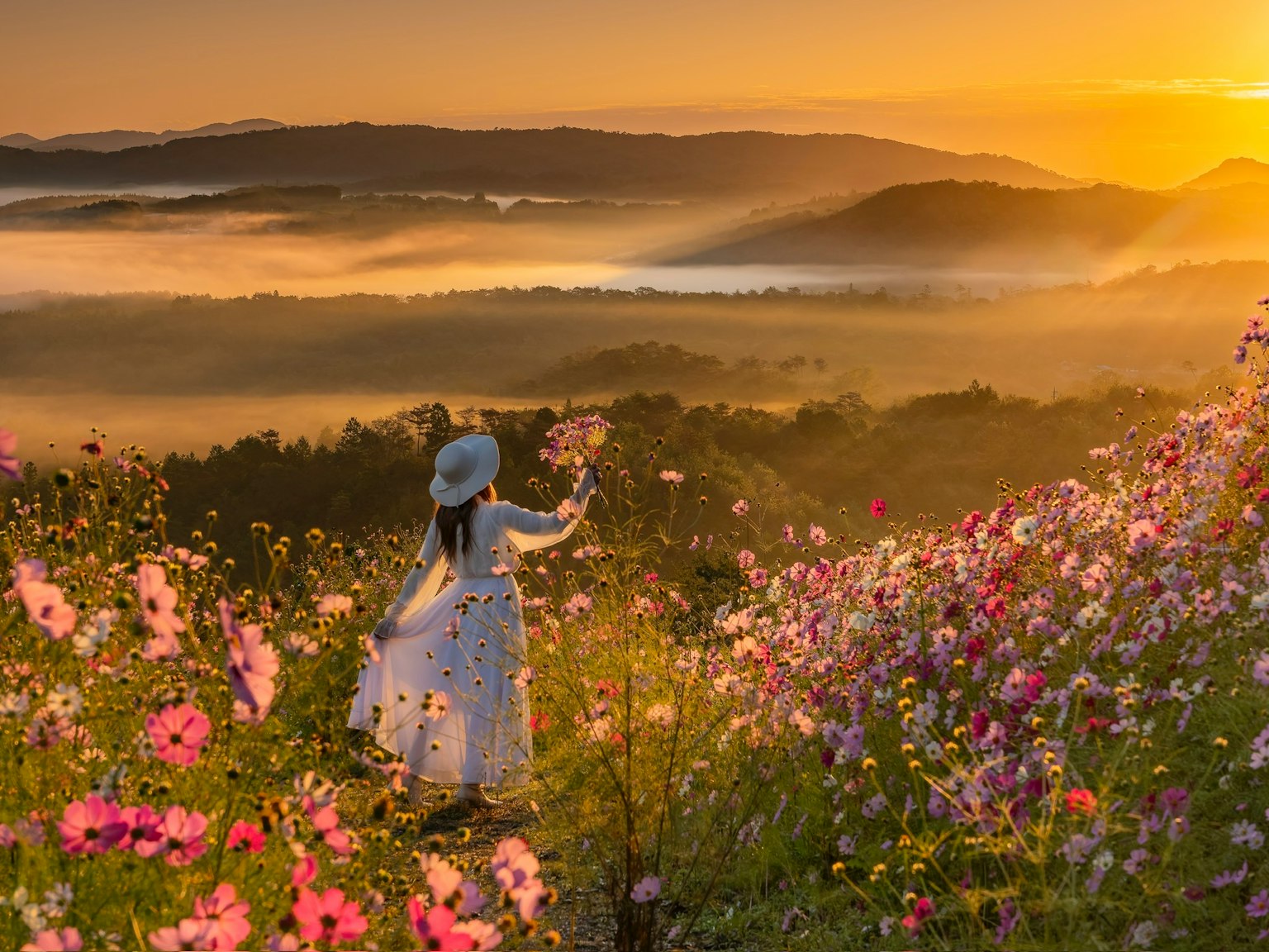美しい夕日を背景に花畑の中に立つ女性のシルエット