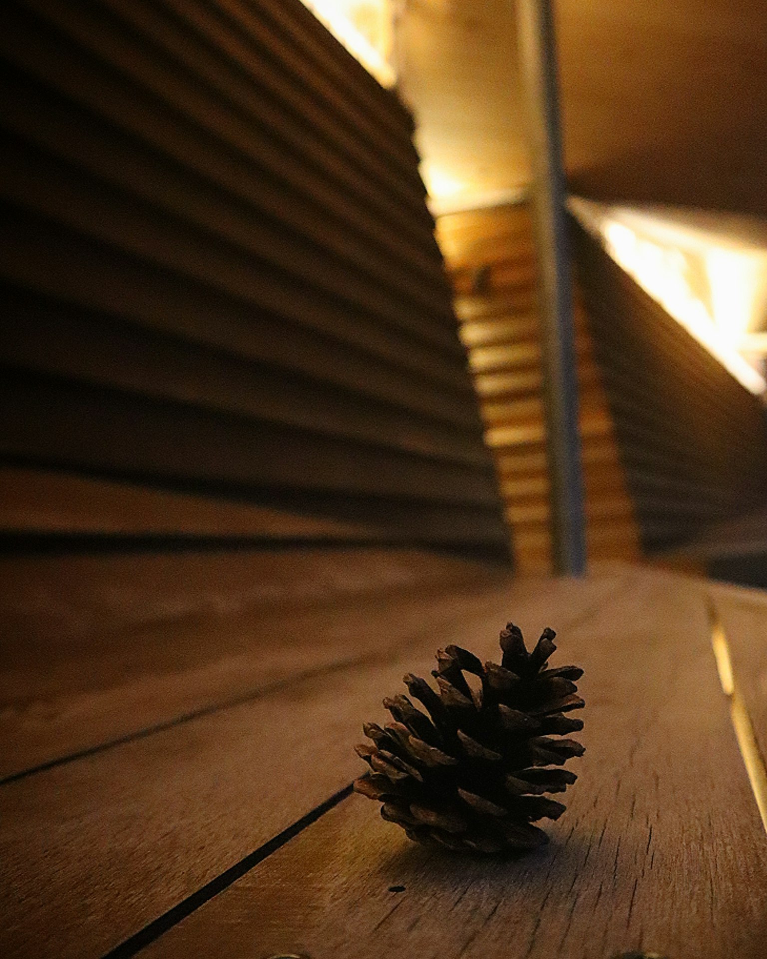 Close-up of a pine cone on a wooden floor with blurred structural background