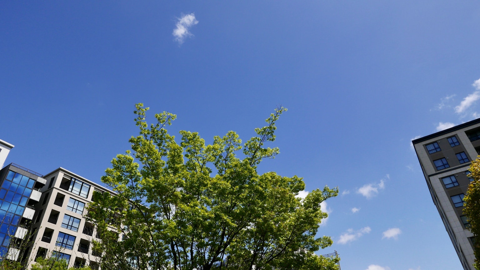 Urban landscape featuring blue sky and green trees