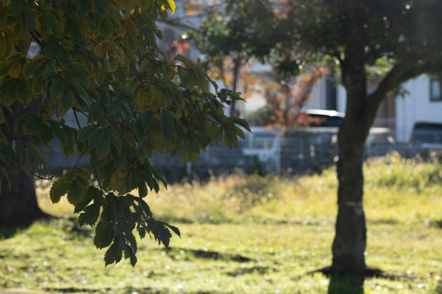 photo-vmCXnZAFFn3KpIkwPTM6-image