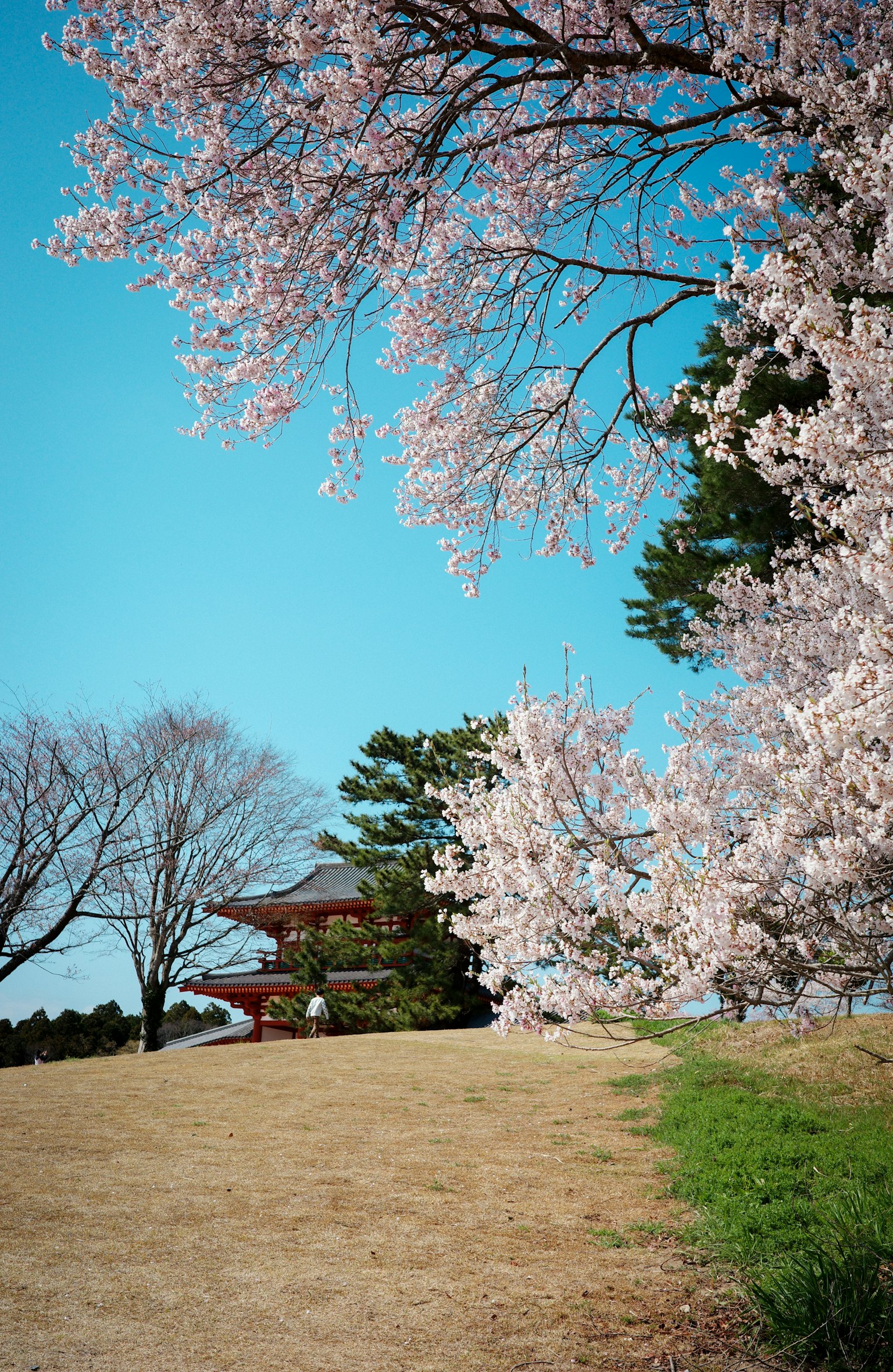 photo-vmLbvlu0BhOBOD5rpOT9-image