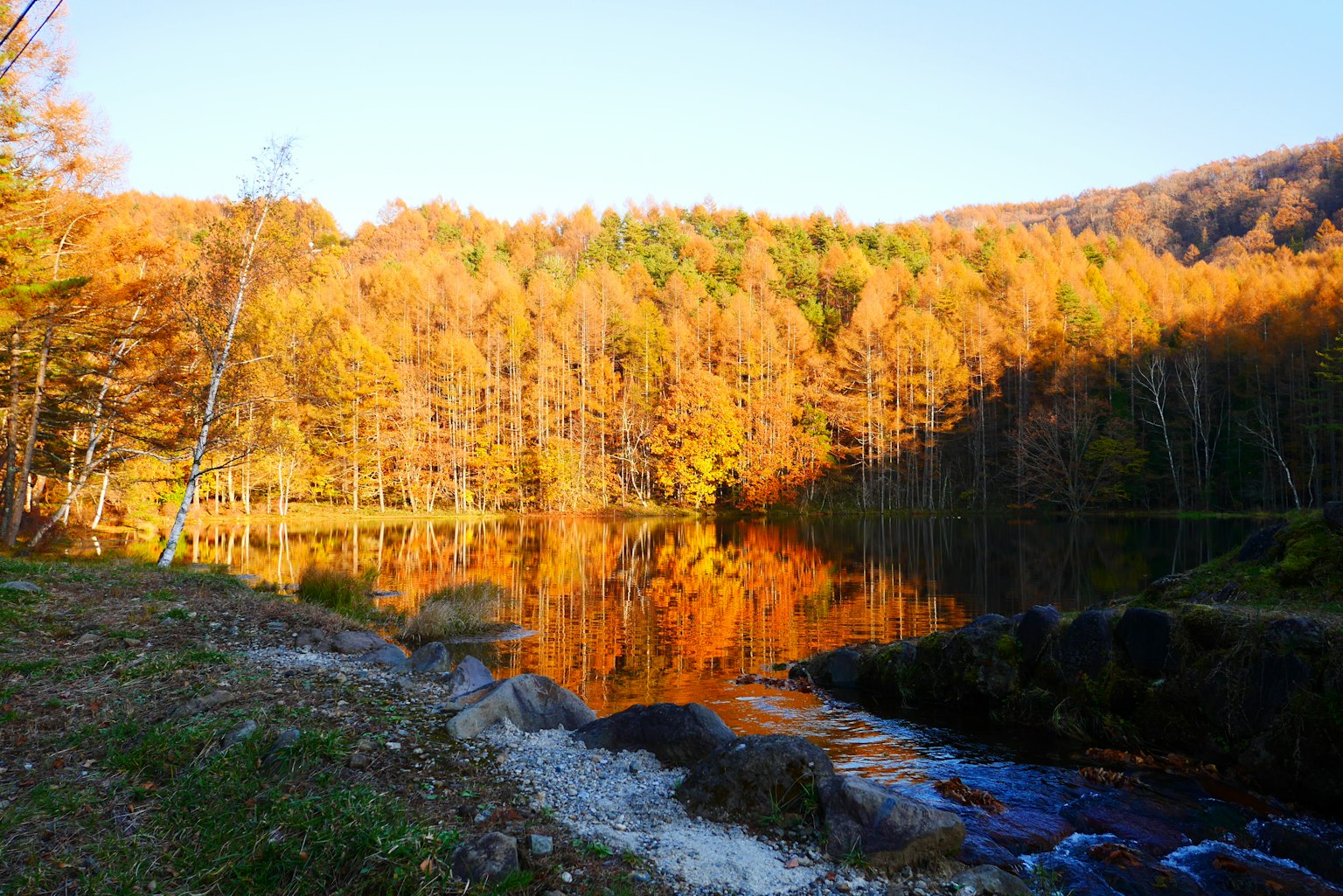 Schöne Landschaft eines Sees umgeben von Bäumen in Herbstfarben
