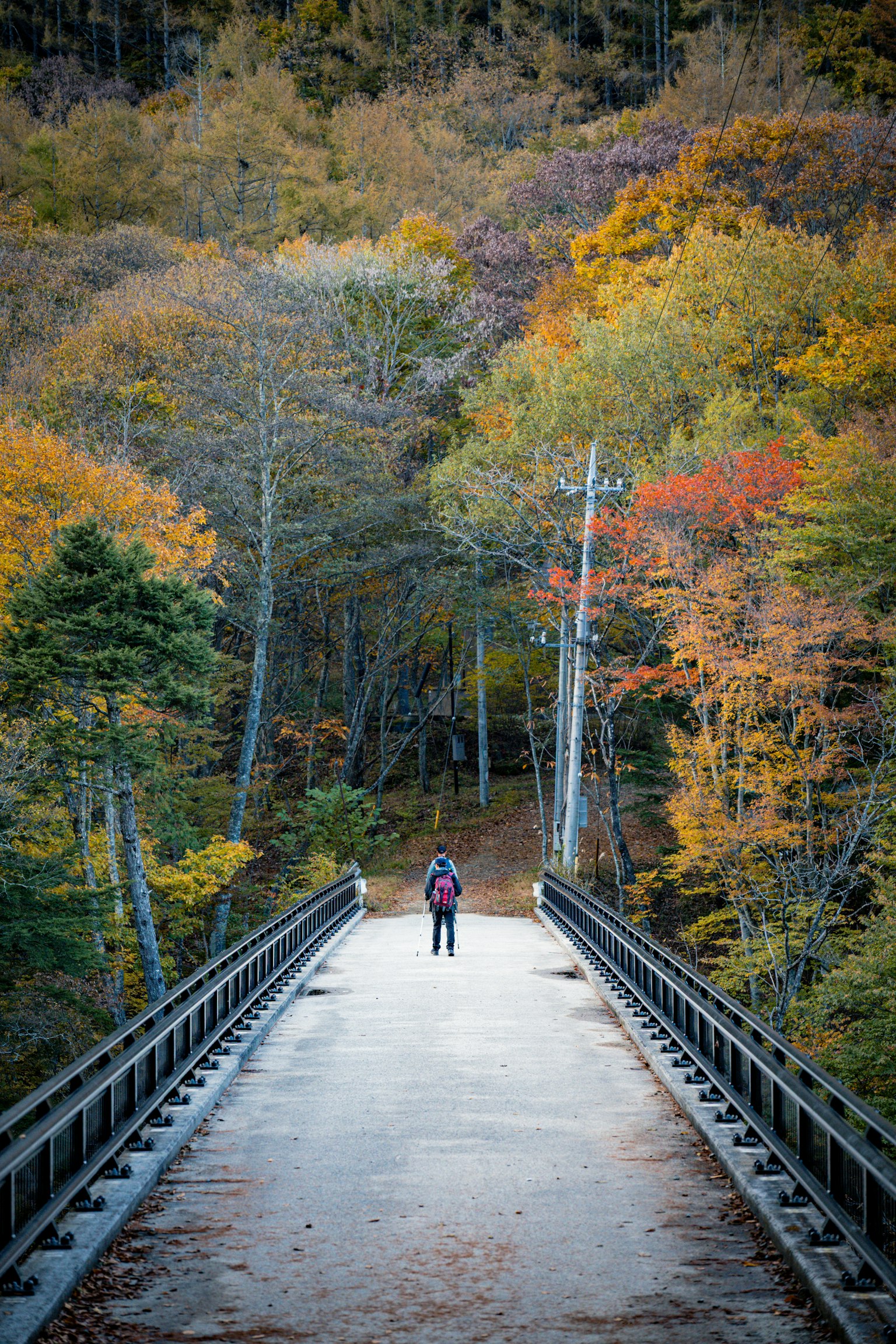 色とりどりの秋の葉に囲まれた橋を渡る人物