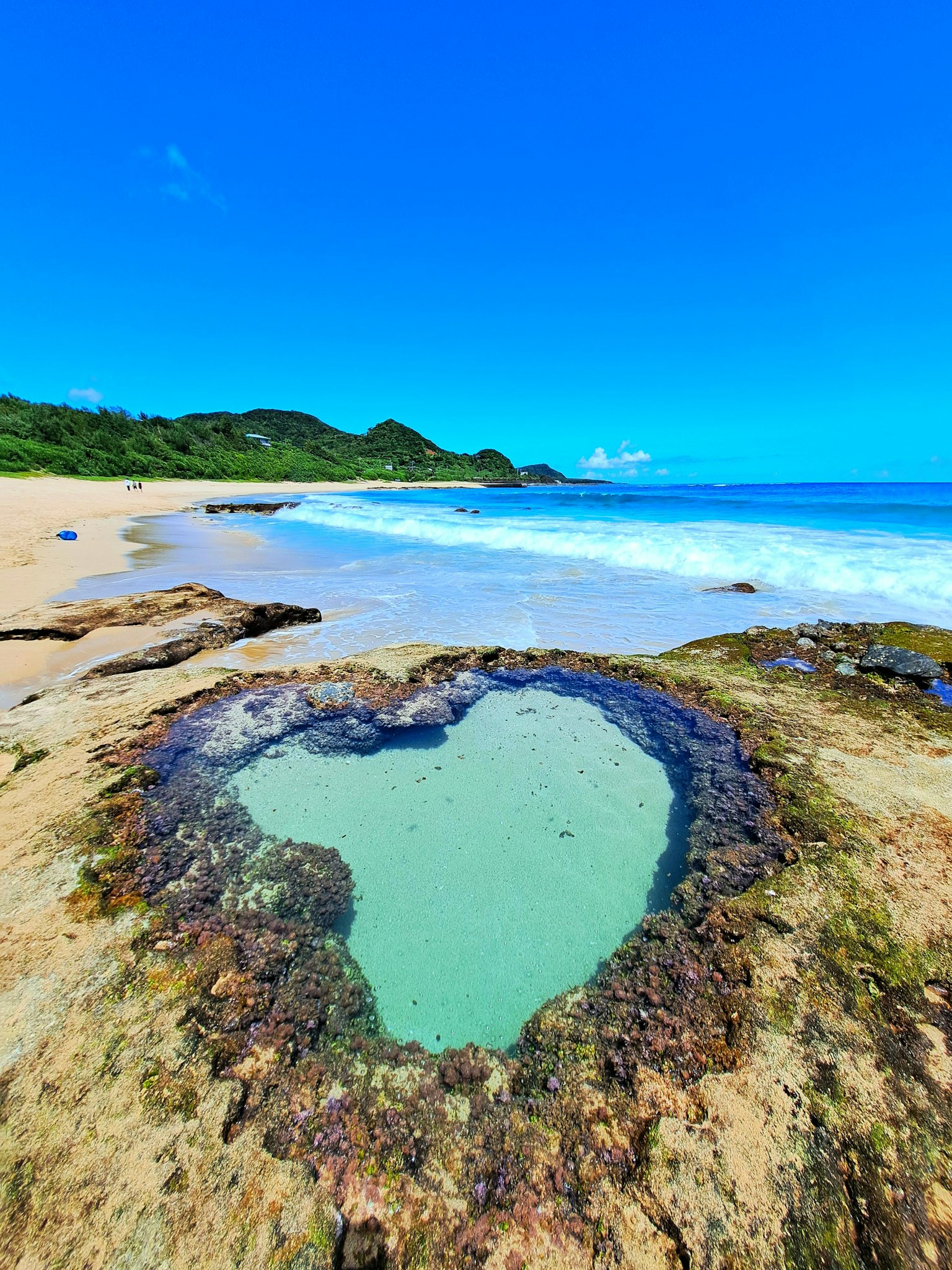 Bassin de marée en forme de cœur sur une plage rocheuse avec ciel bleu clair et océan