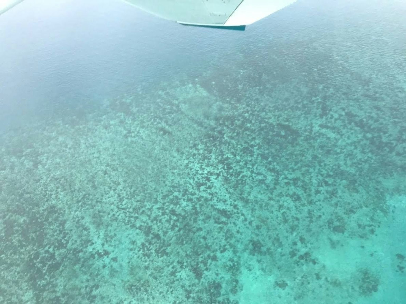 Vista aérea de agua turquesa y arrecife de coral