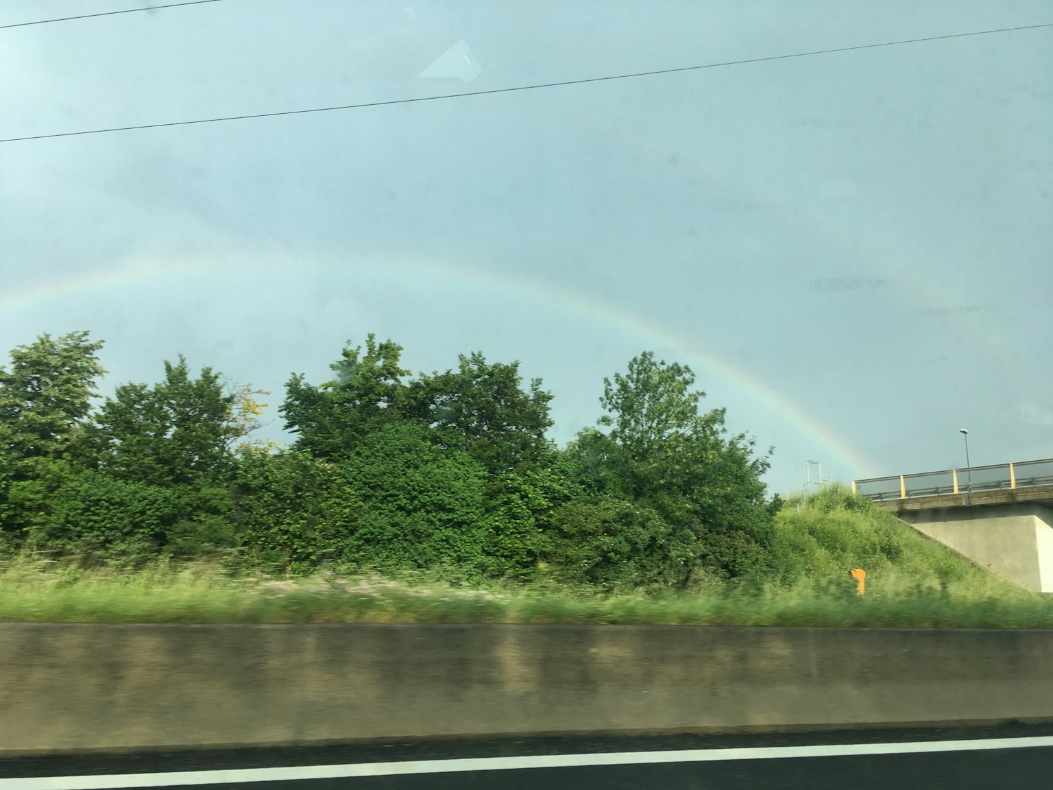Ein Regenbogen über einer grünen Landschaft mit Bäumen