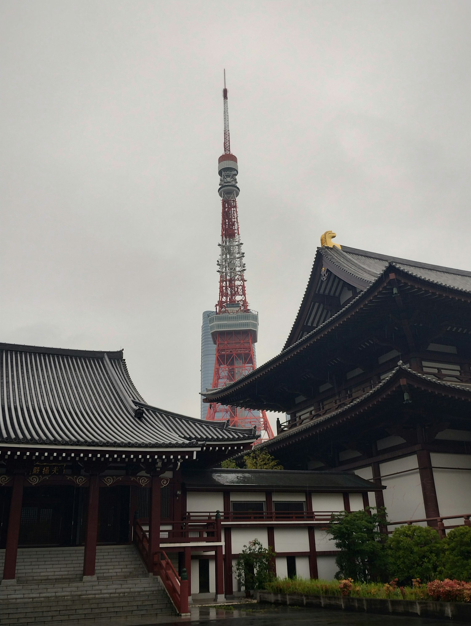 傳統寺廟後面的東京塔景觀
