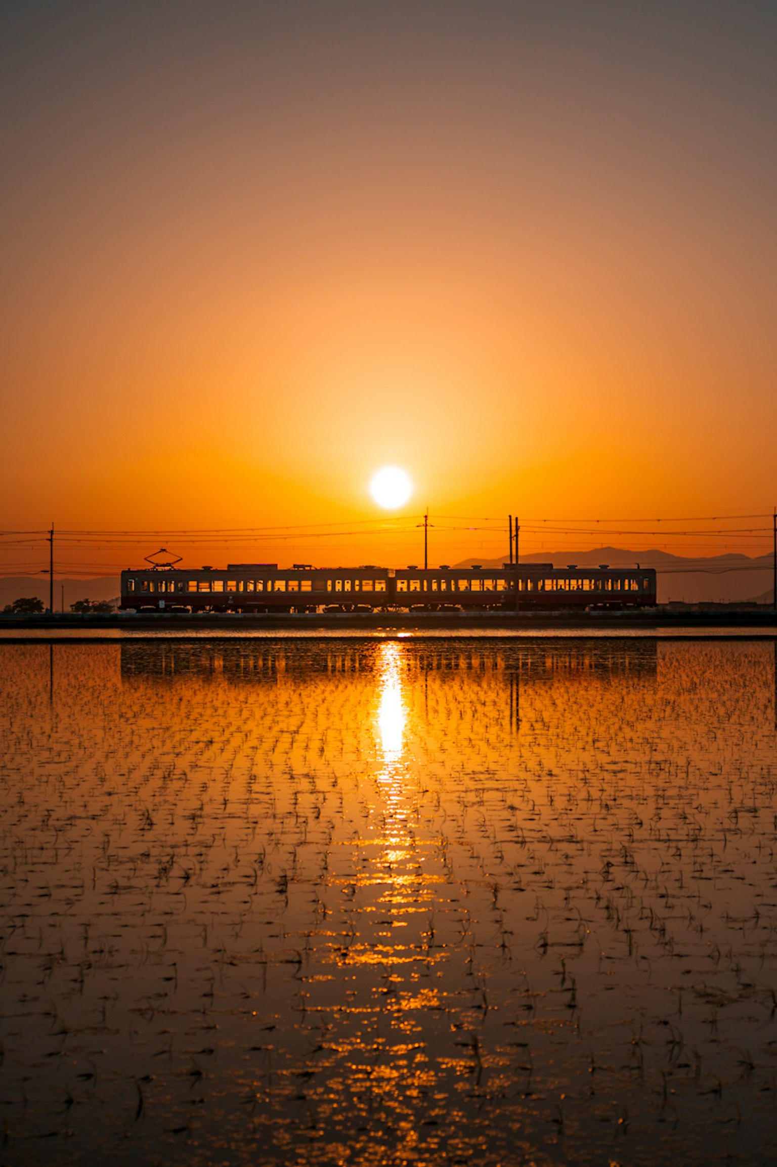 美丽的风景，夕阳映照在水面上，稻田和山脉在背景中