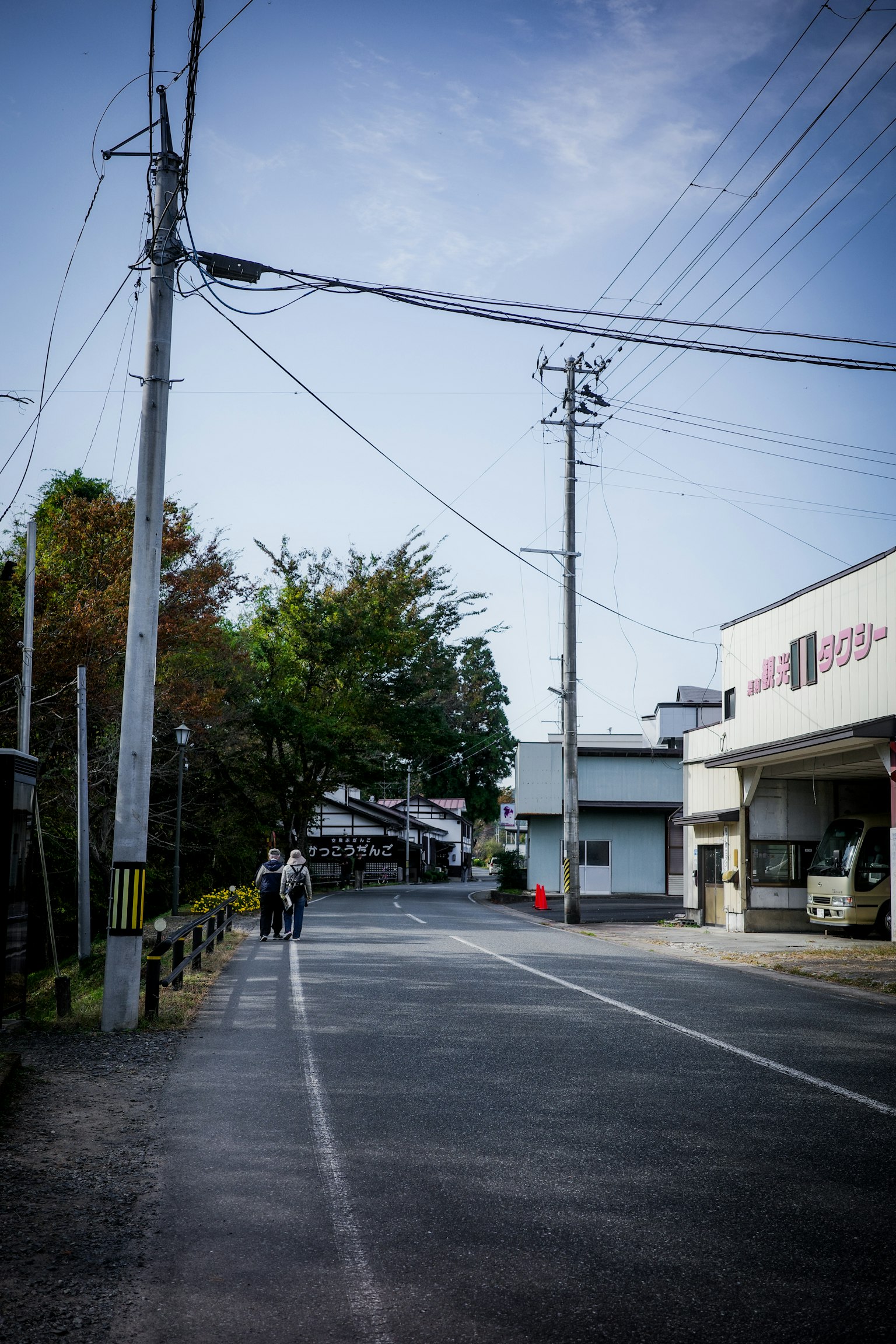 Quiet rural street scene with trees and utility poles lining the road