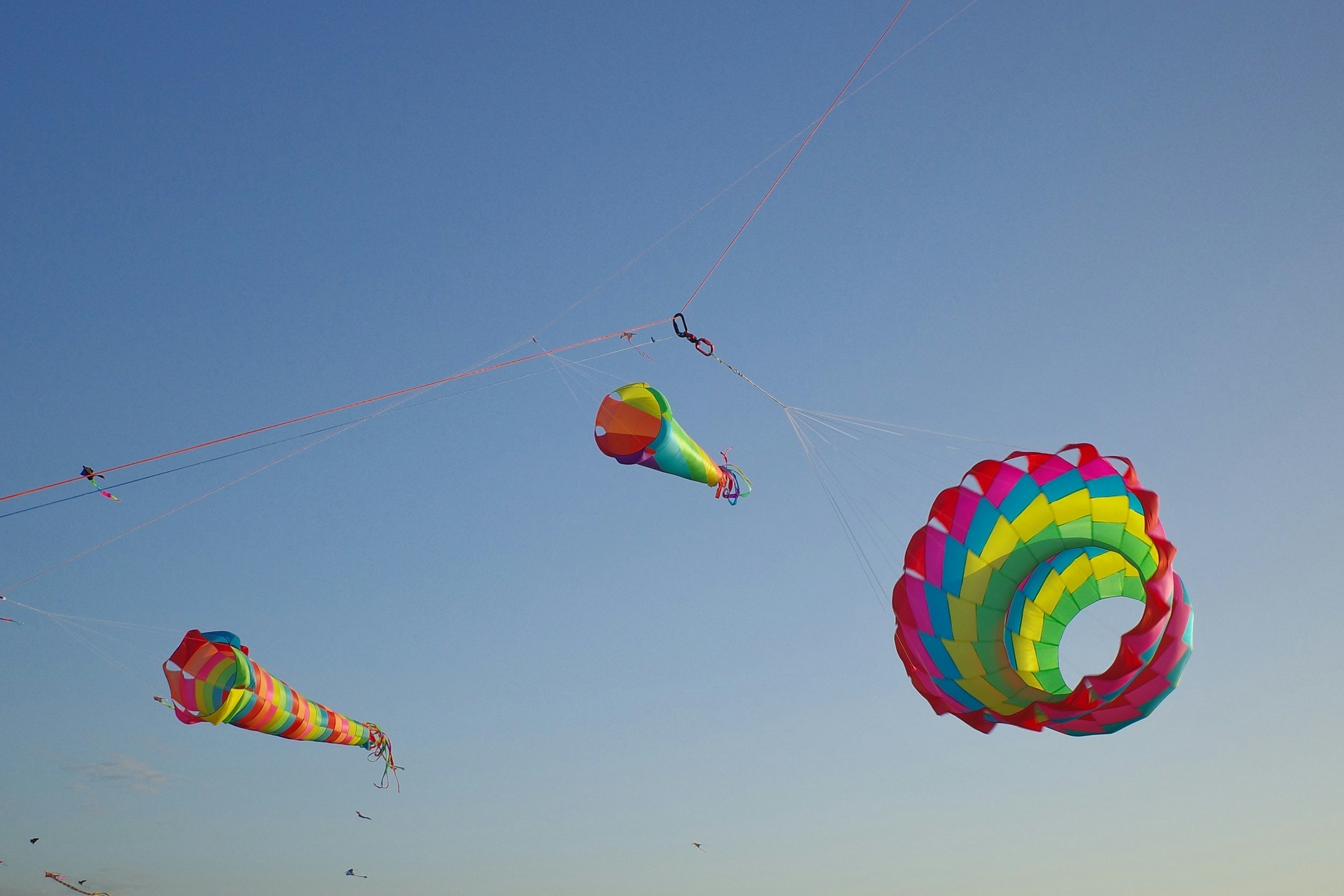 青空の下で揚がるカラフルな凧（#KITE）