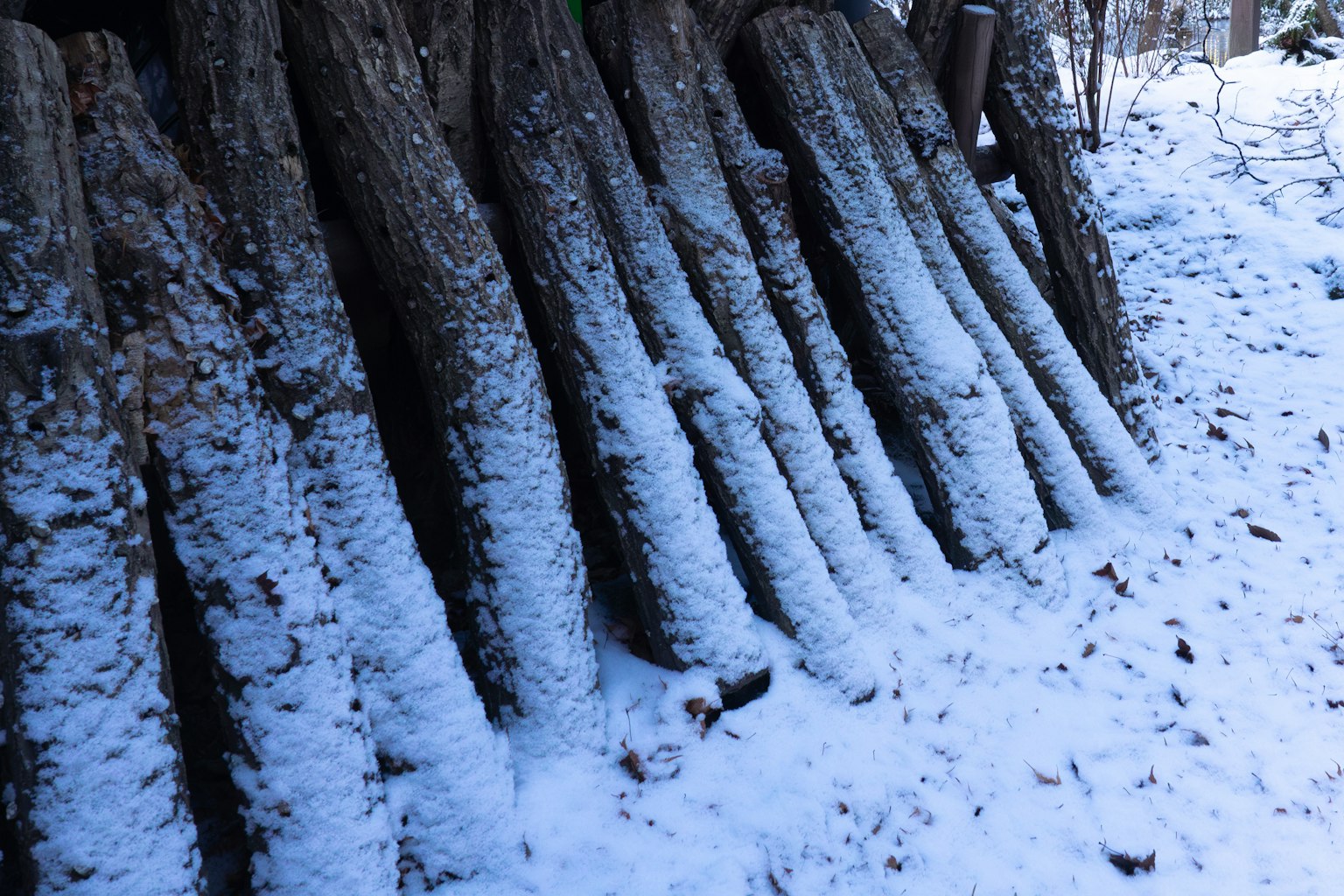 A scene of logs covered in snow arranged neatly