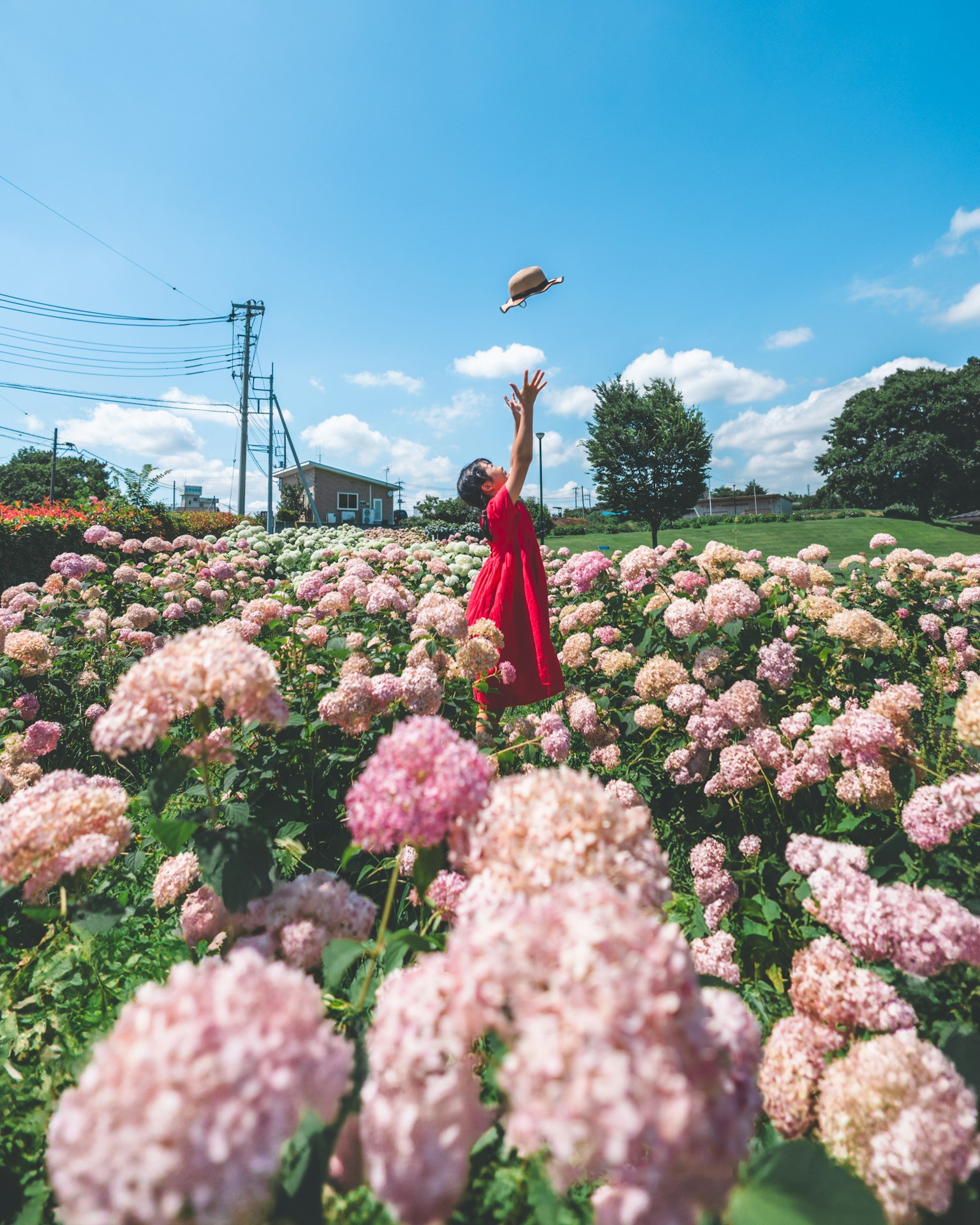 Une femme en robe rouge lançant un livre dans un champ de fleurs