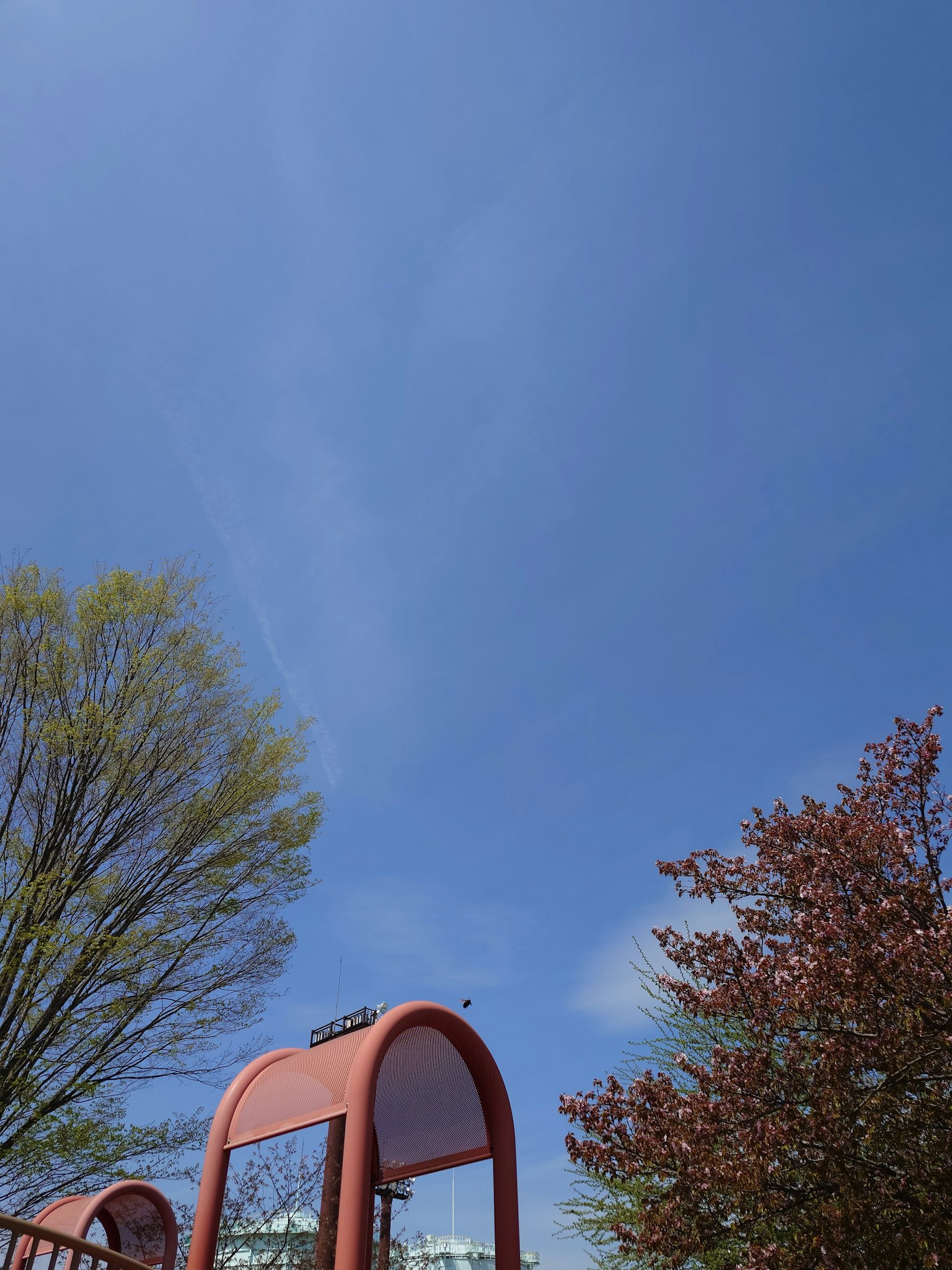 Vue du parc avec ciel bleu clair et équipements de jeu