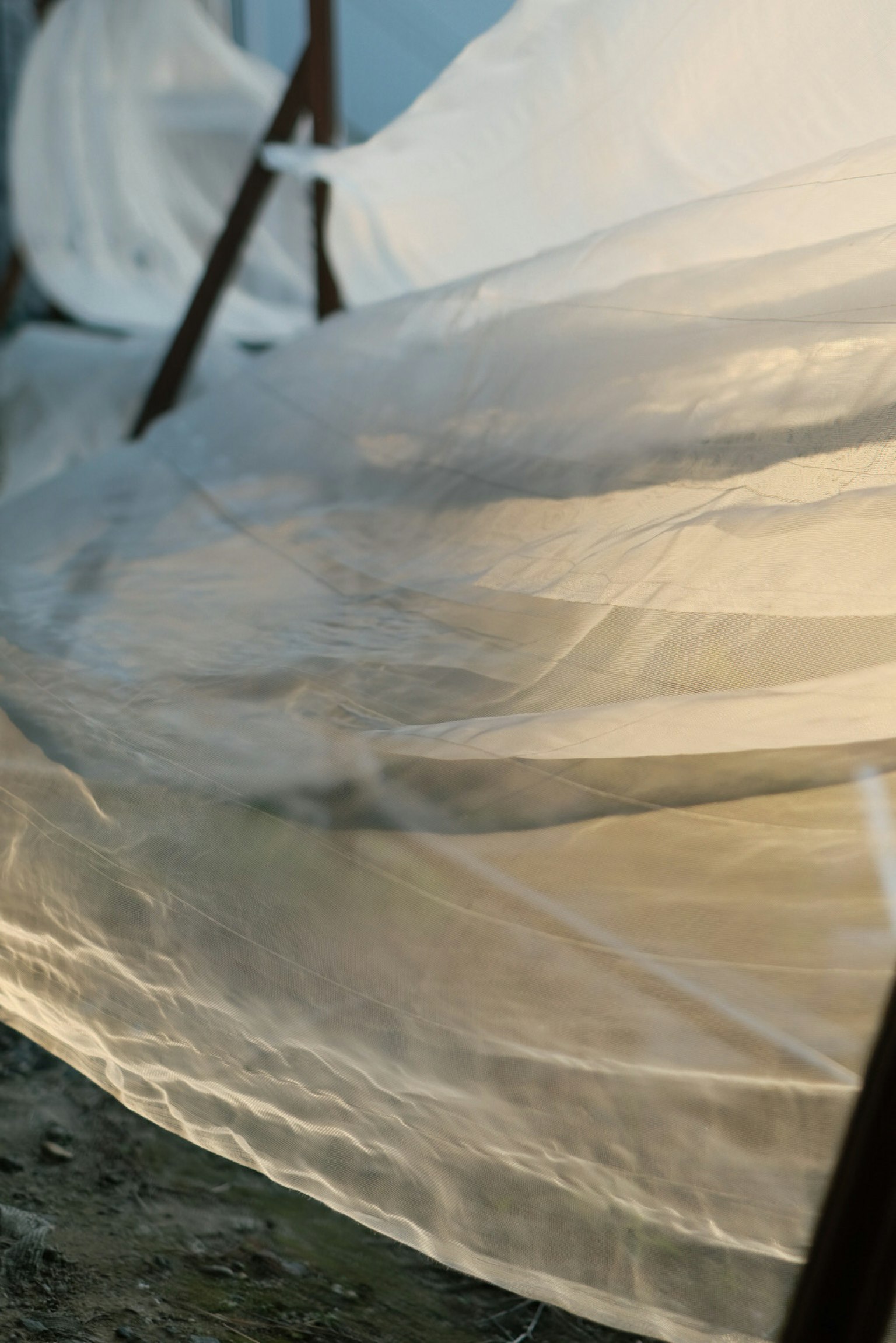 薄い布が光を透過している様子が見える