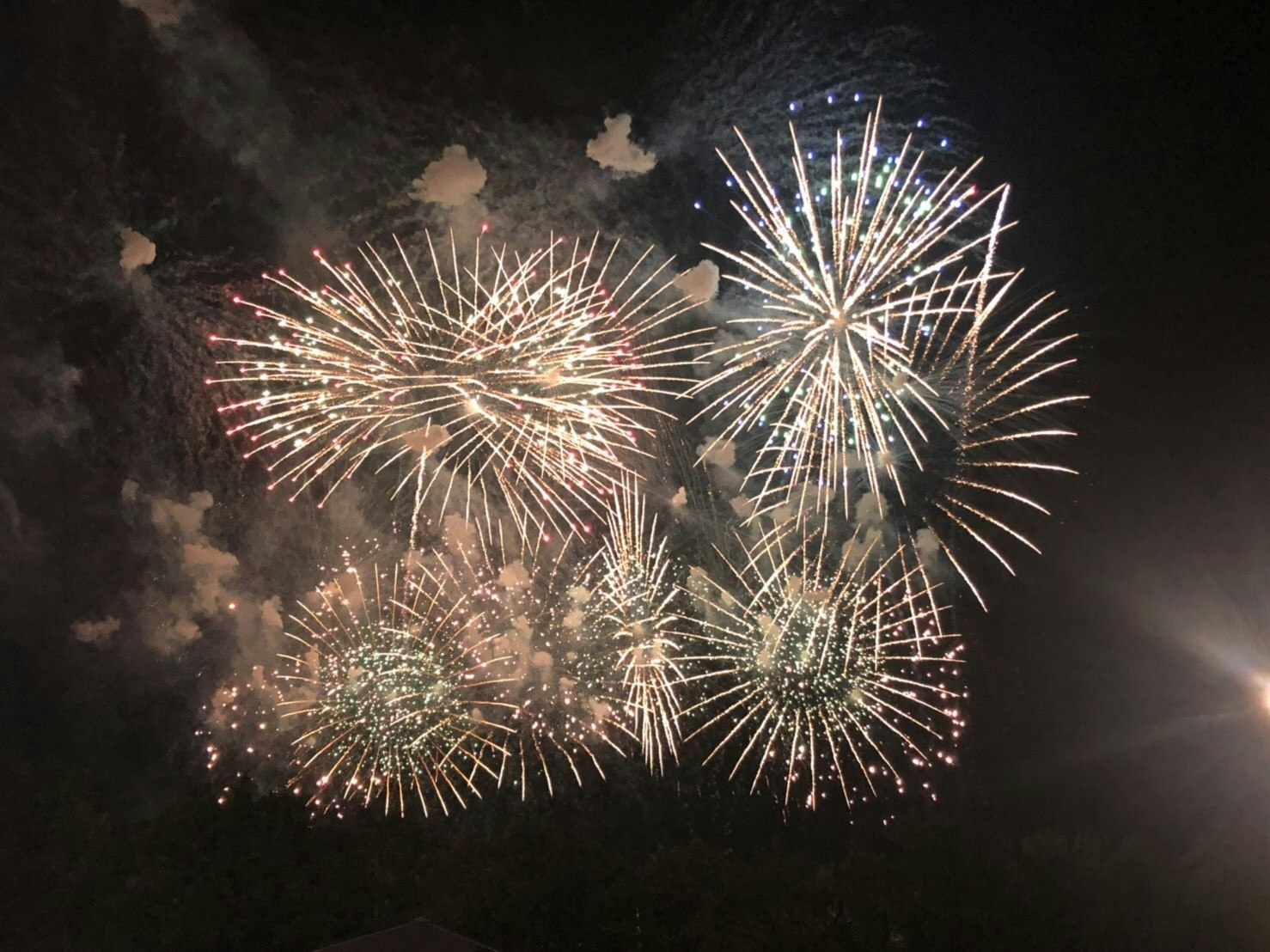 fuochi d’artificio che esplodono nel cielo notturno
