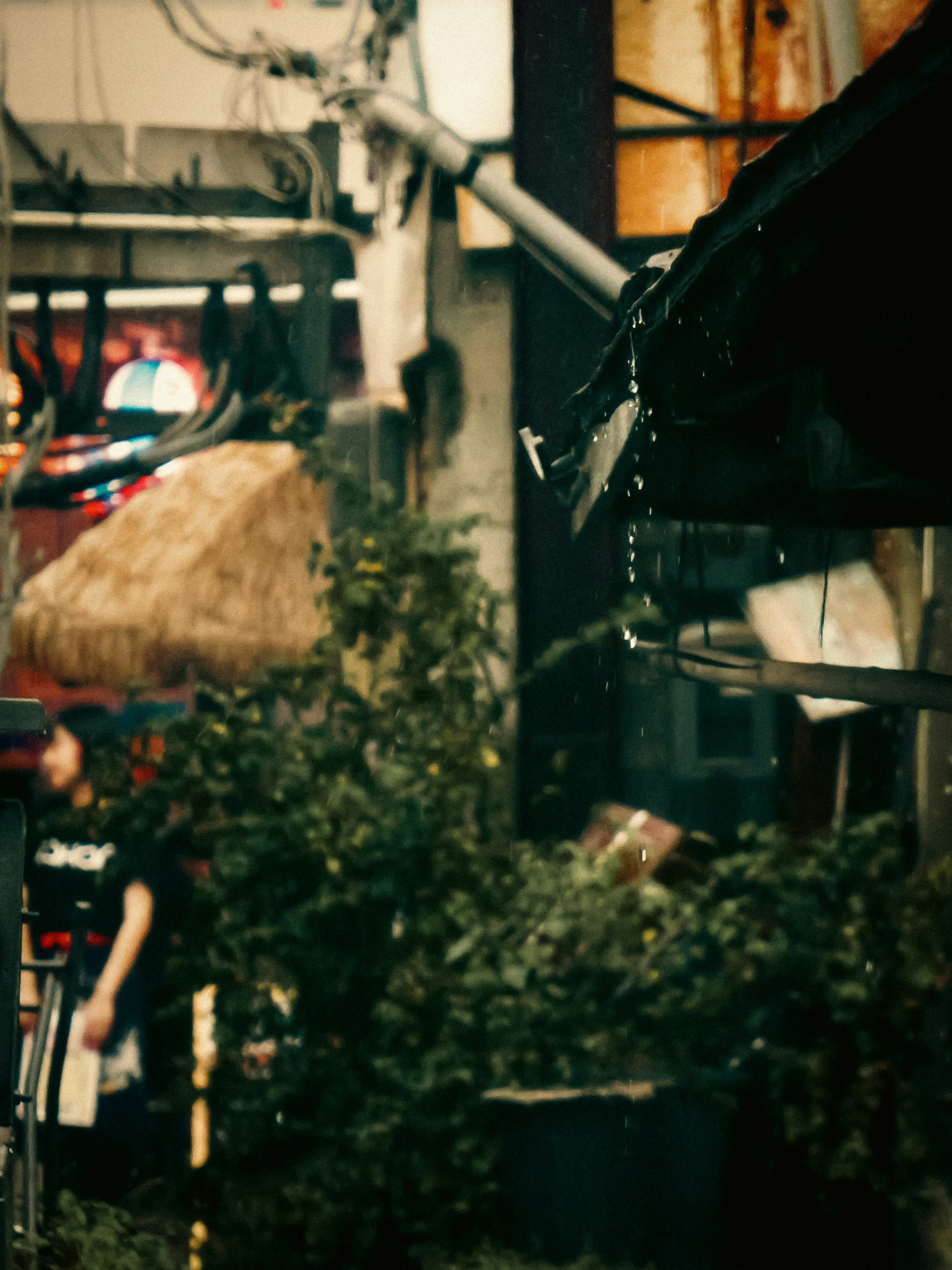 雨の路地で呼び込みをする居酒屋の軒先