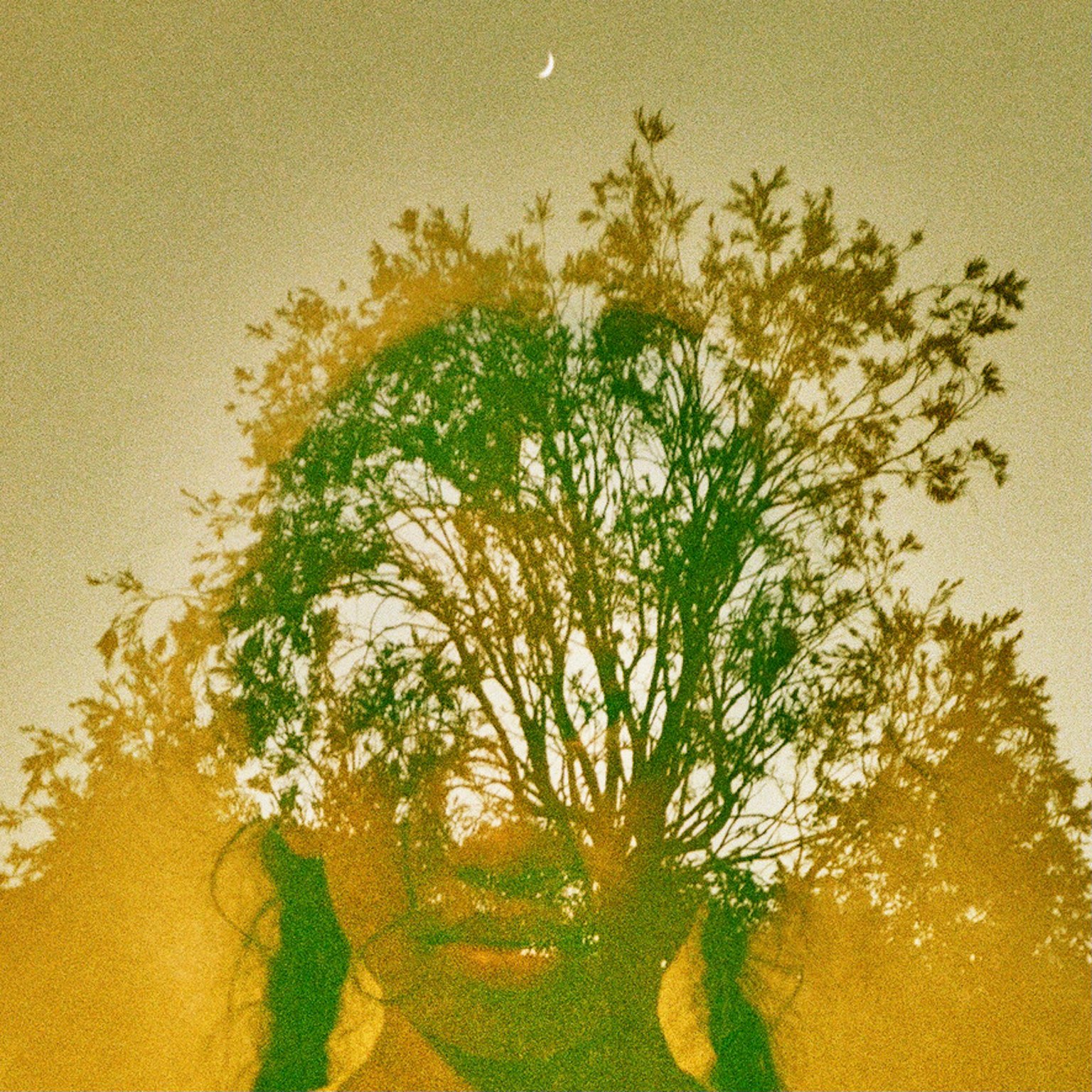Une image surréaliste présentant le visage d'une femme mélangé avec la silhouette d'un arbre