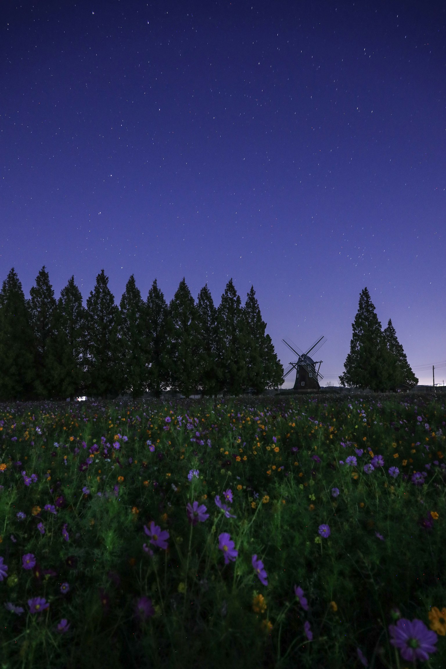 Eine Landschaft mit einer Windmühle und einem Blumenfeld unter einem sternenklaren Nachthimmel