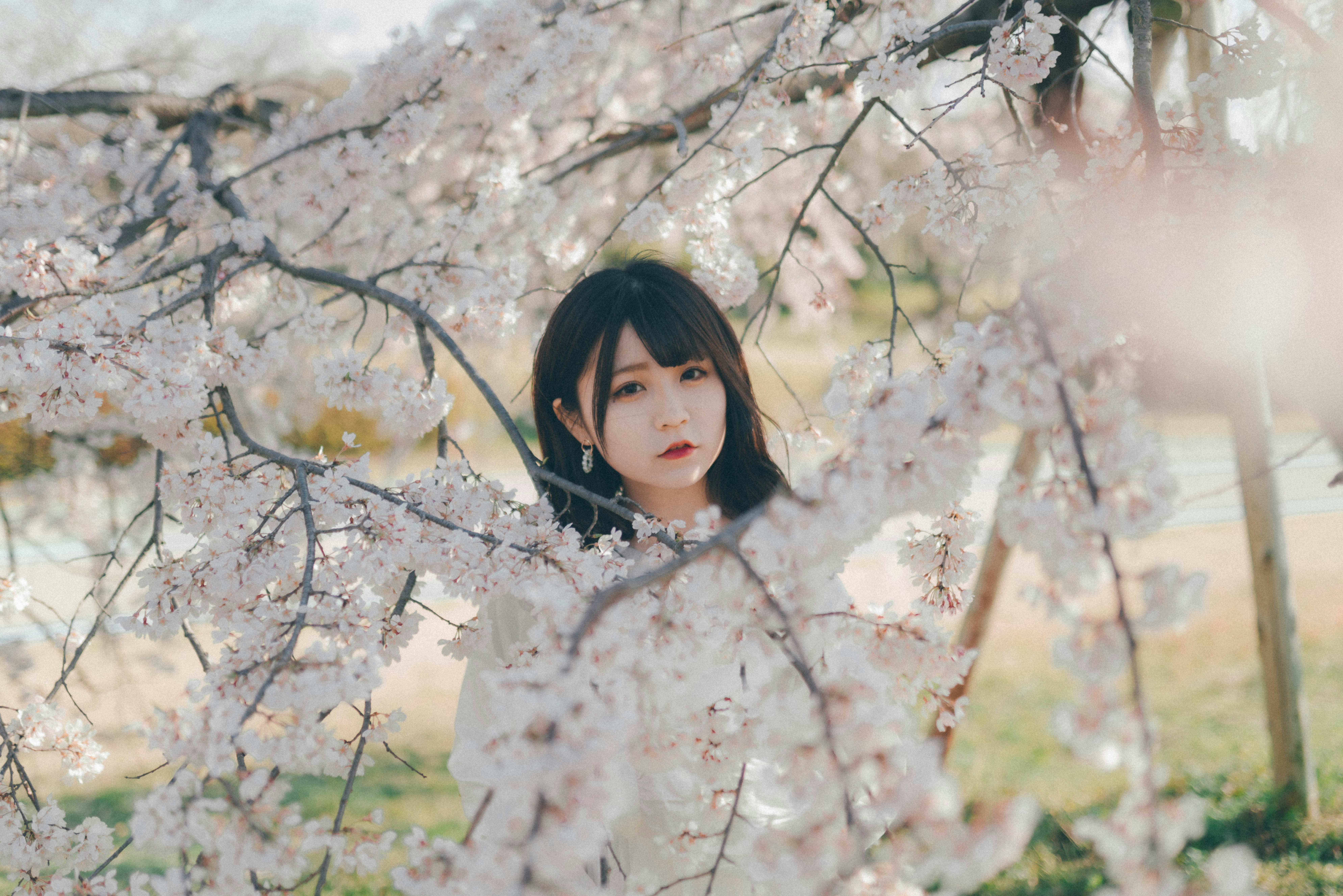 樱花枝间站立的女性