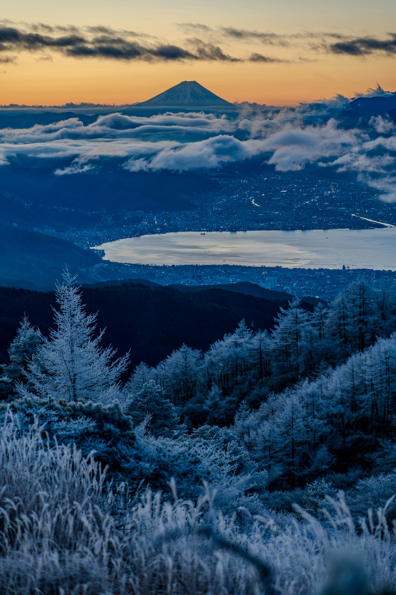 Árboles cubiertos de escarcha con una vista impresionante del monte Fuji