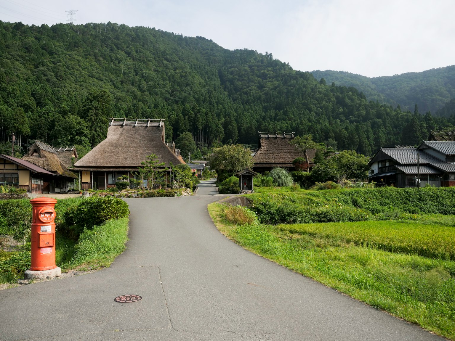 Traditional Japanese houses in a rural landscape with green rice fields