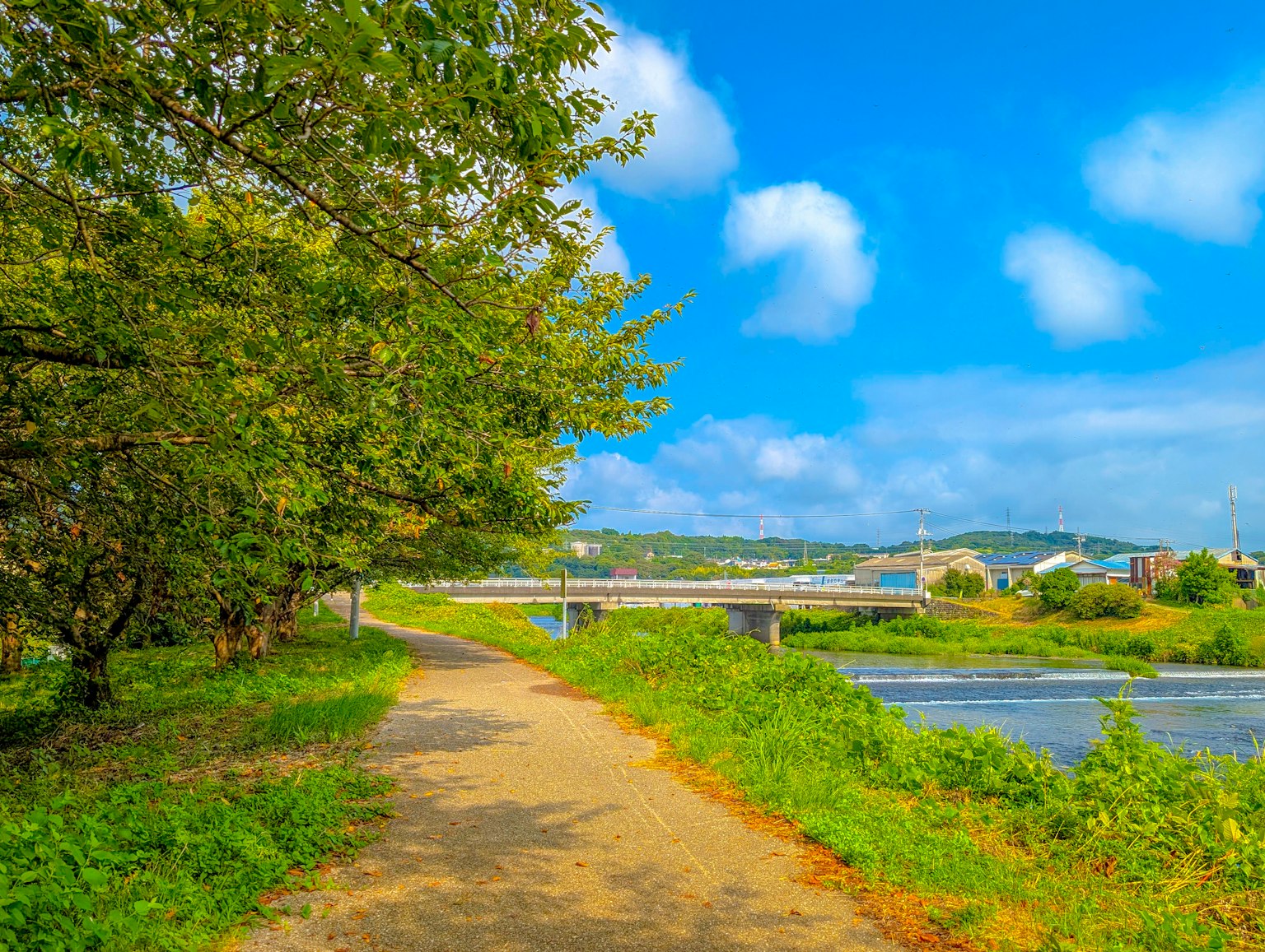 Pathway along a river under a blue sky with green trees
