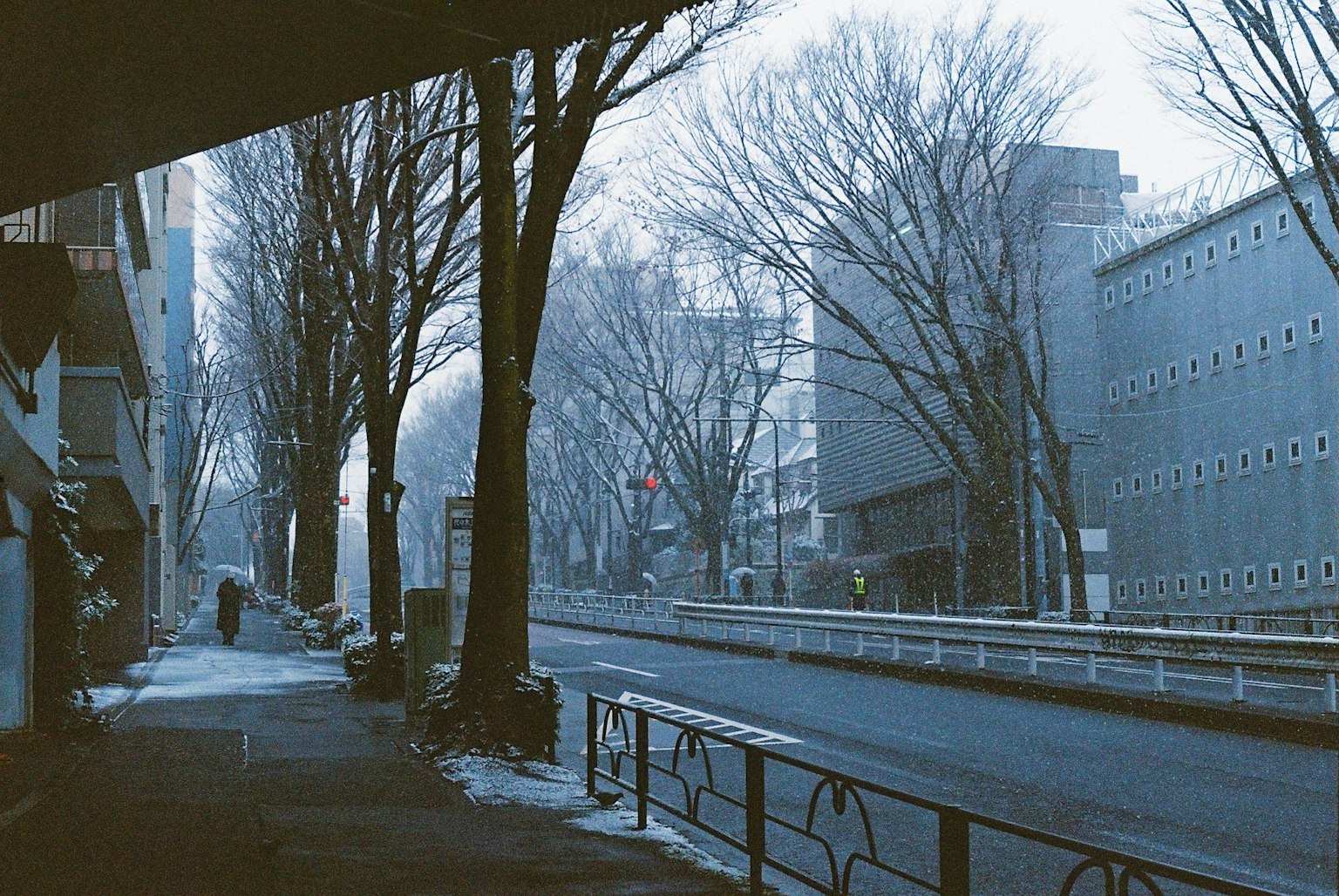 冬の東京の静かな通りの風景 枯れた木々とビルが並ぶ