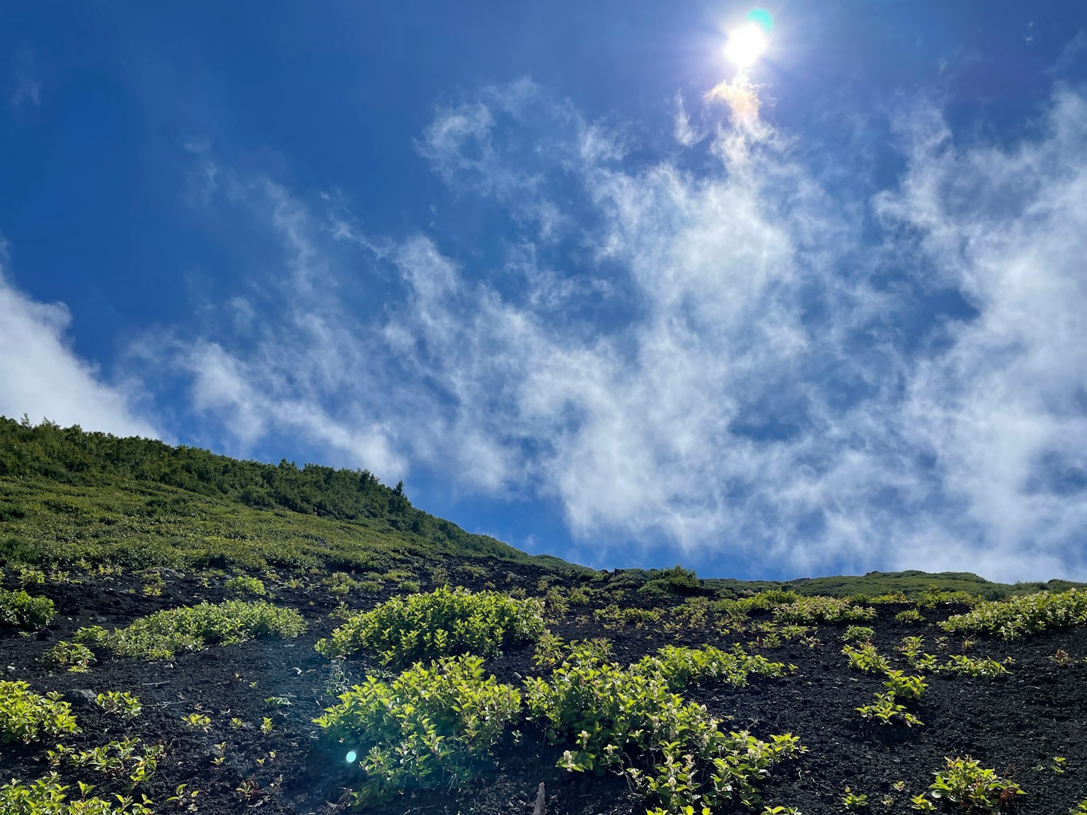 火山坡上绿色植被在蓝天白云下