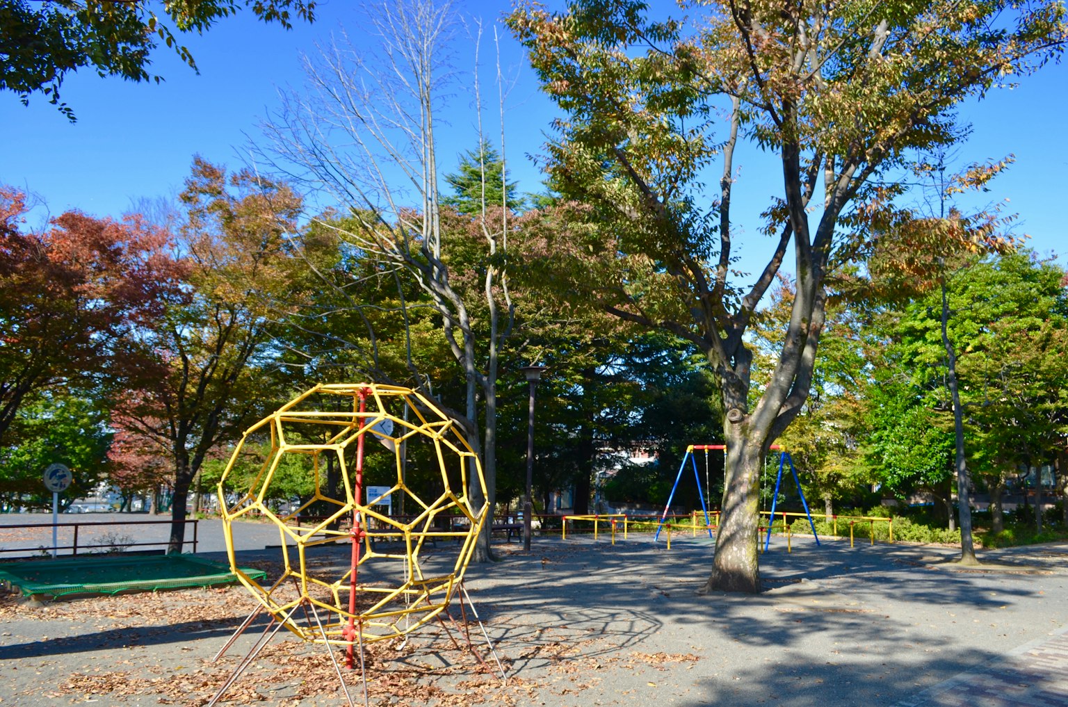 Attrezzature da gioco con alberi autunnali in un parco