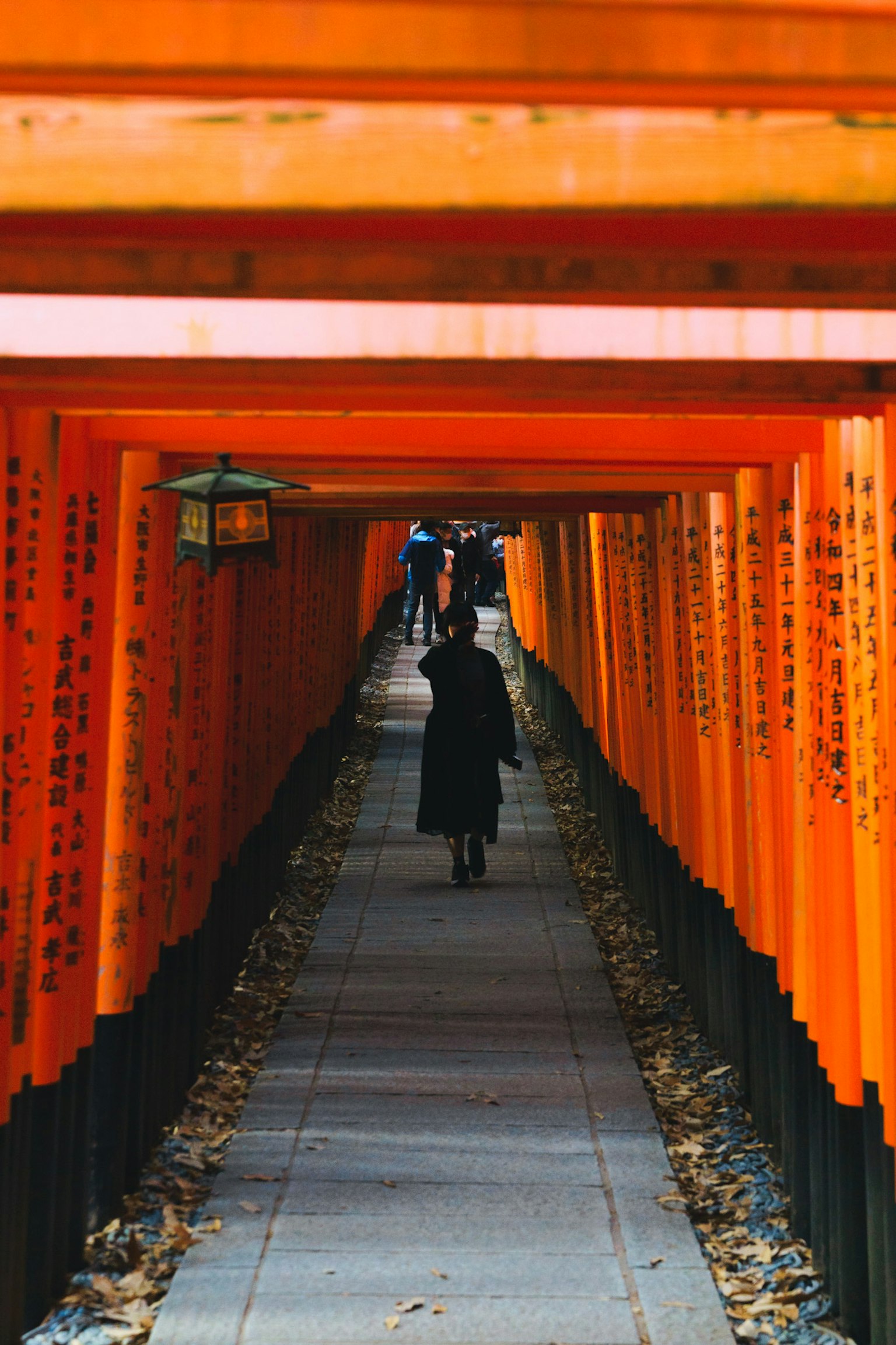Un sentiero fiancheggiato da torii arancioni con persone che camminano