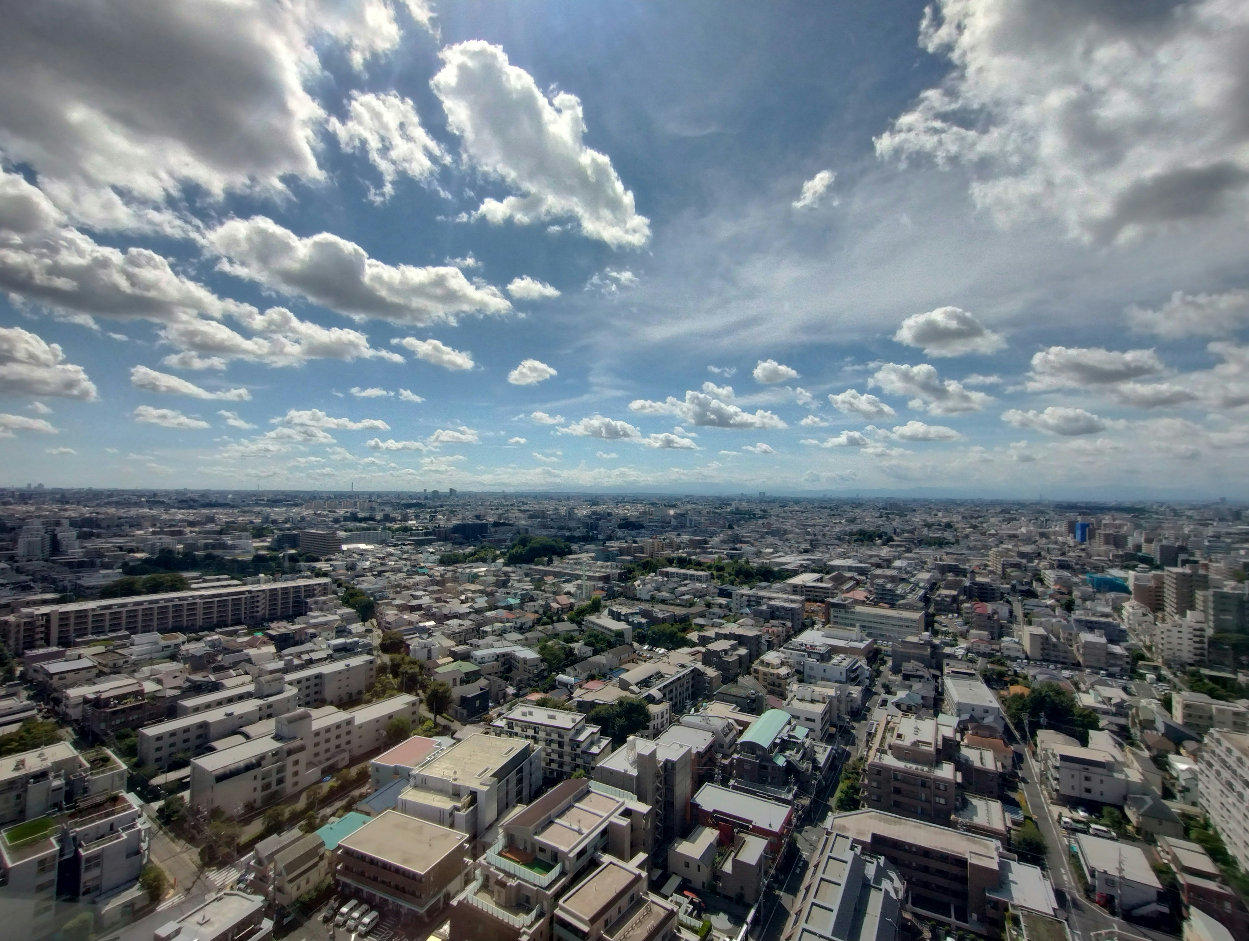 aerial view of a residential neighborhood and cityscape