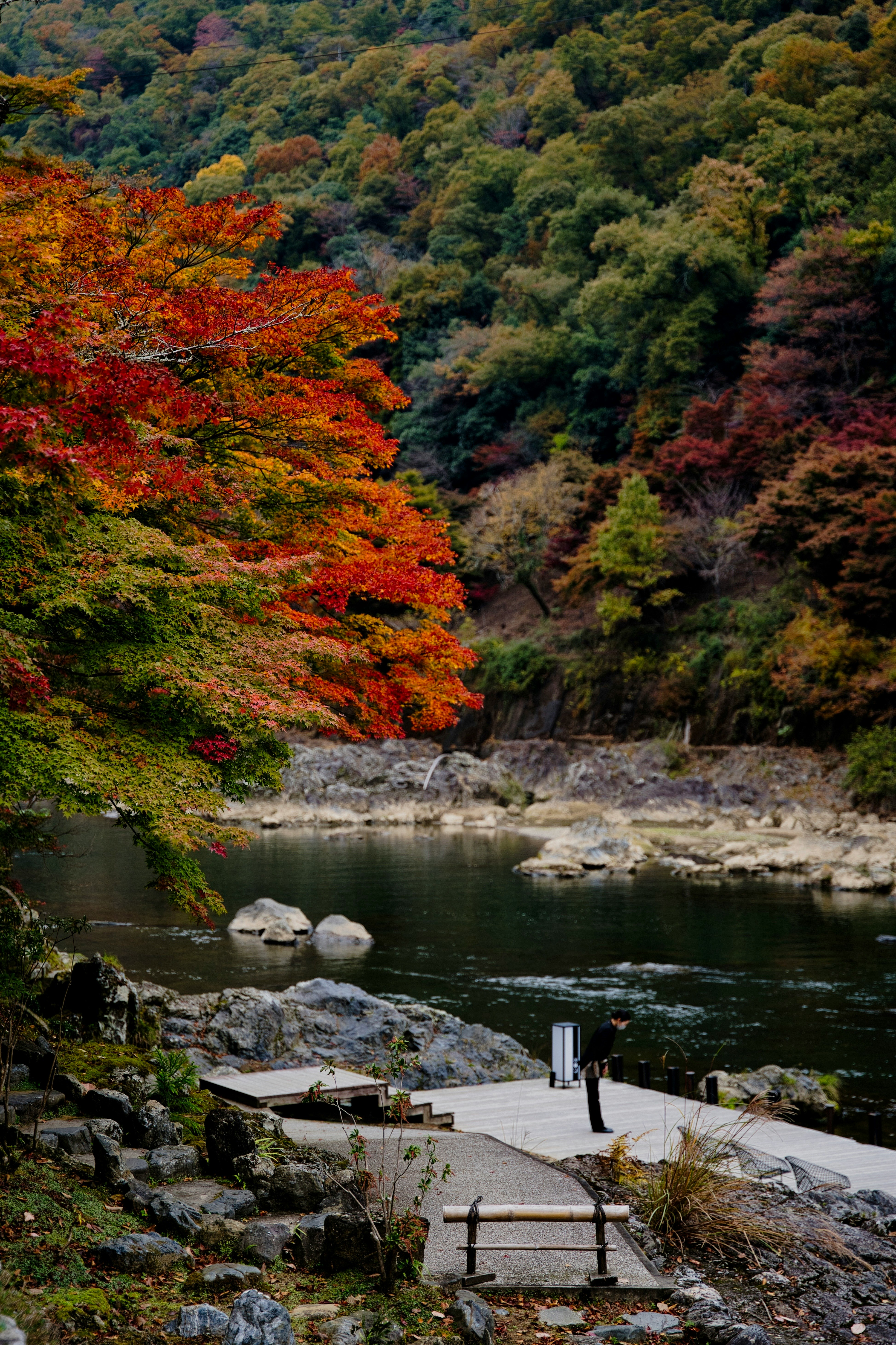 嵐山の紅葉と保津川の渓流風景