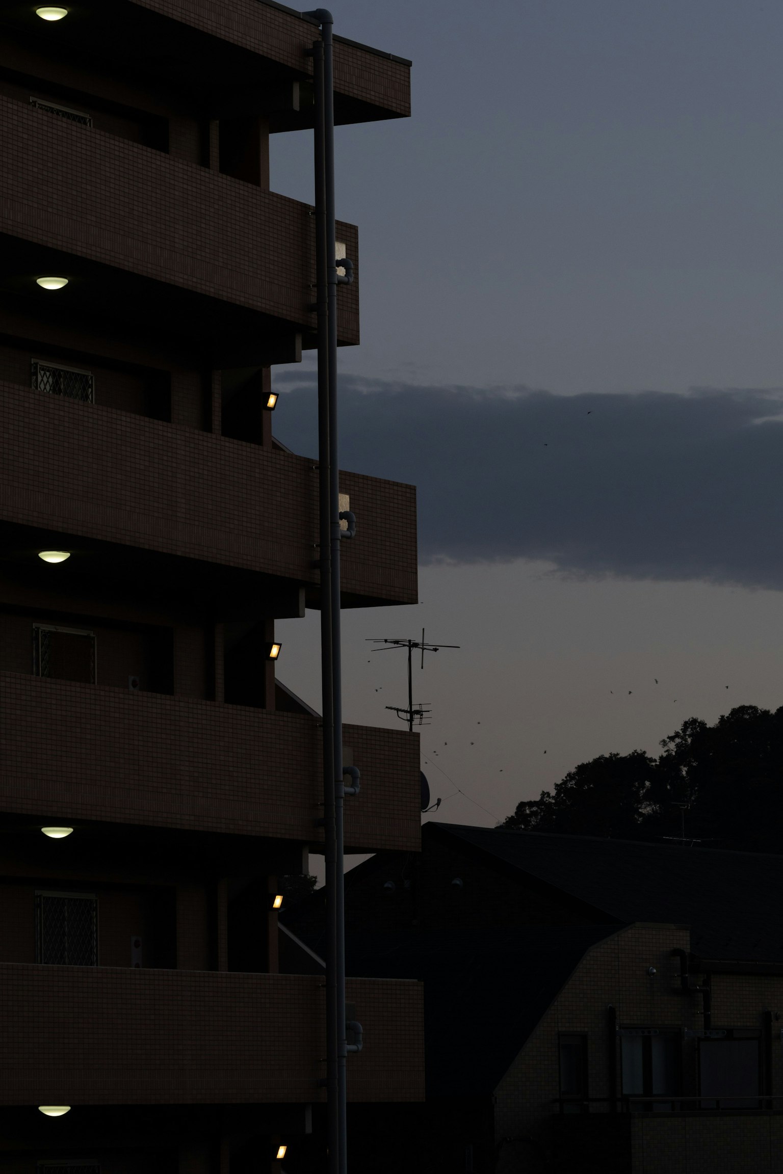 Silhouette d'un bâtiment au crépuscule avec des lampadaires illuminés