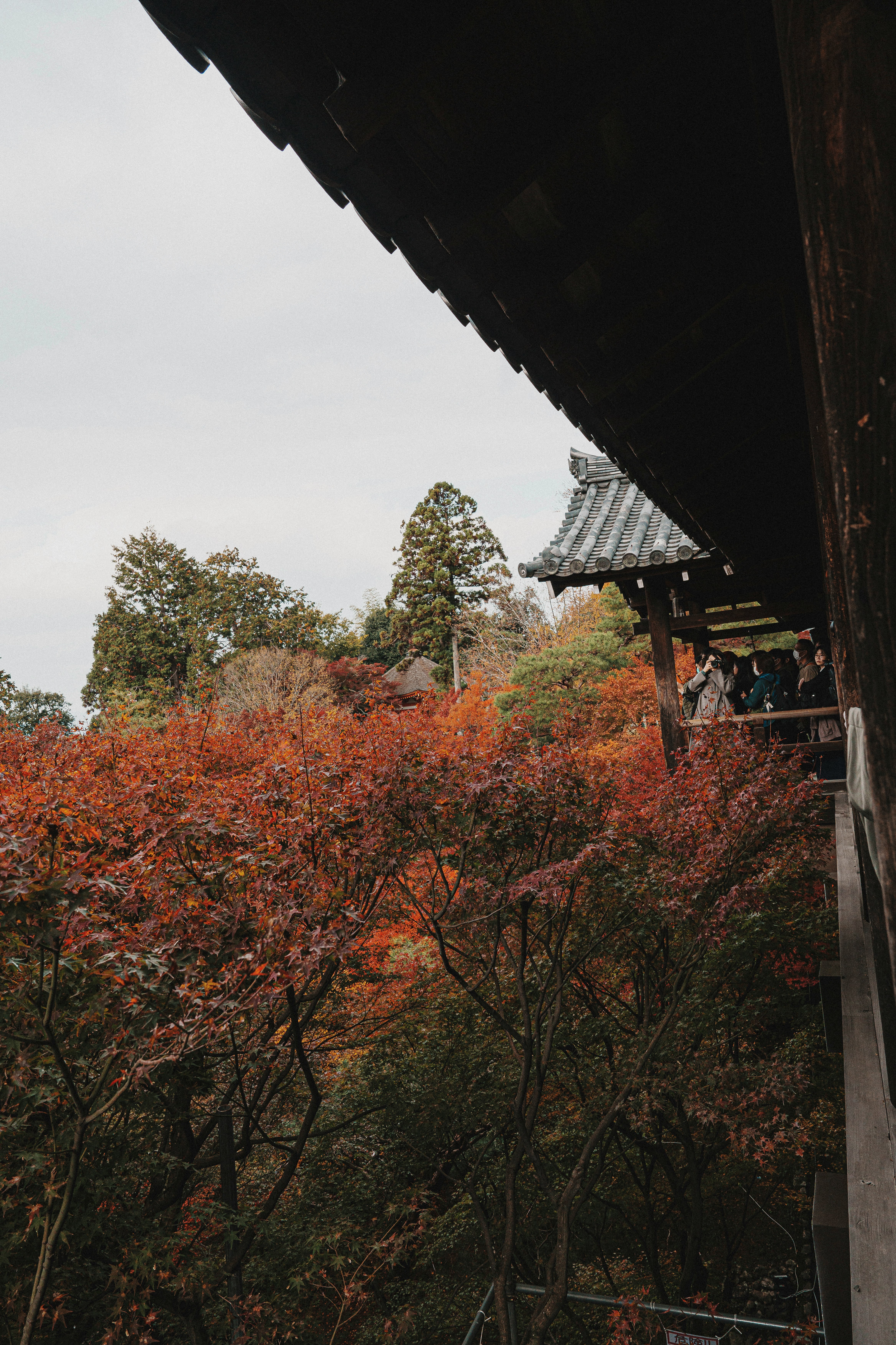 寺の軒先と紅葉の並木