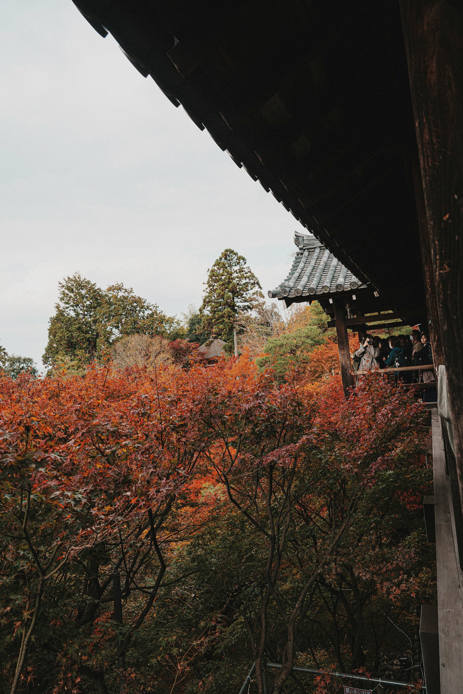 photo-vyfp2qn9G5KgOIsbjW5D-image