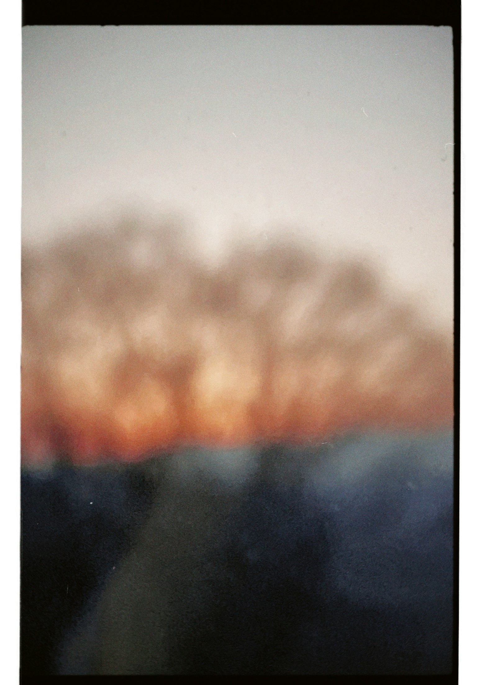 Blurred trees with a gradient sunset background