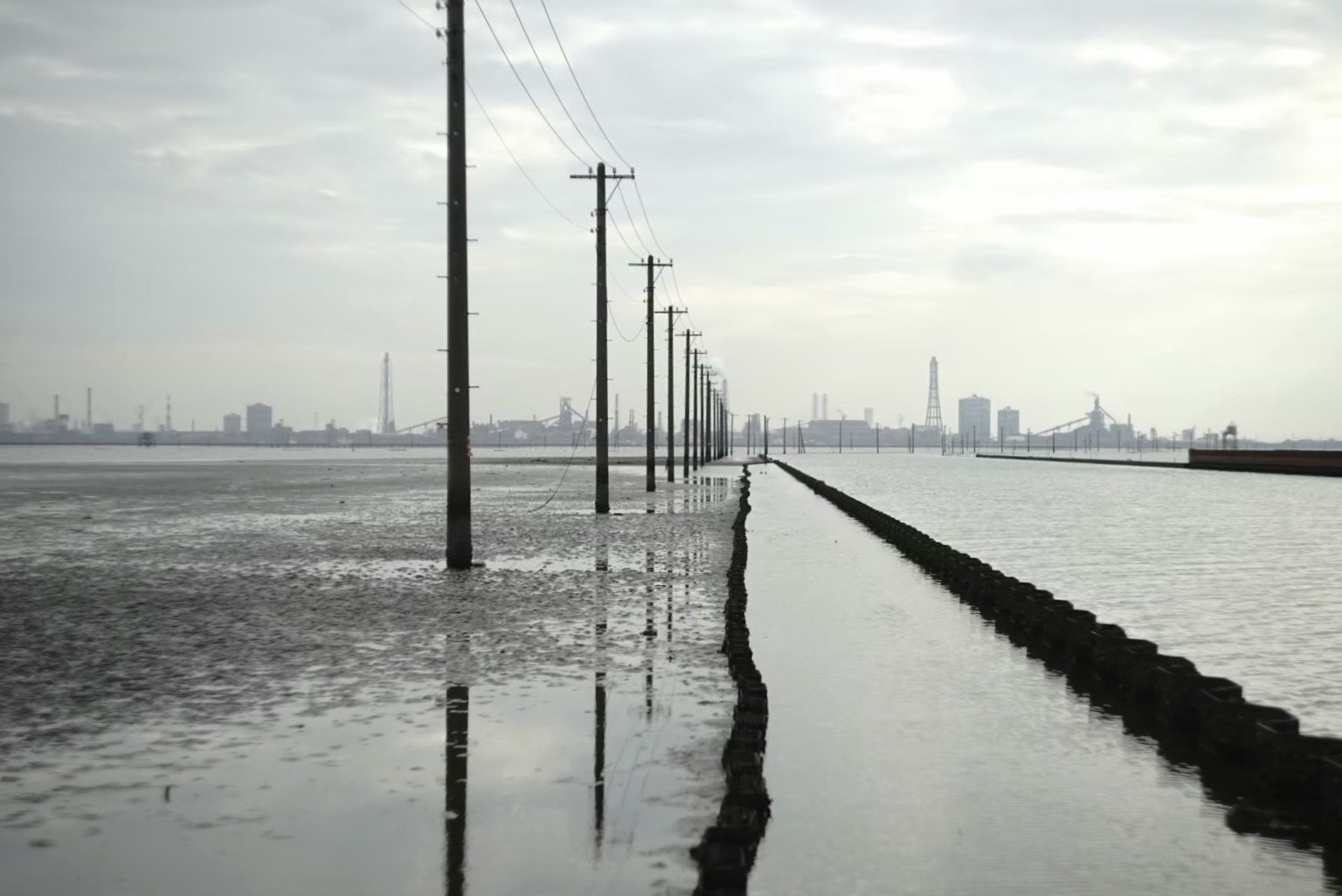 Flooded landscape with utility poles and a dike