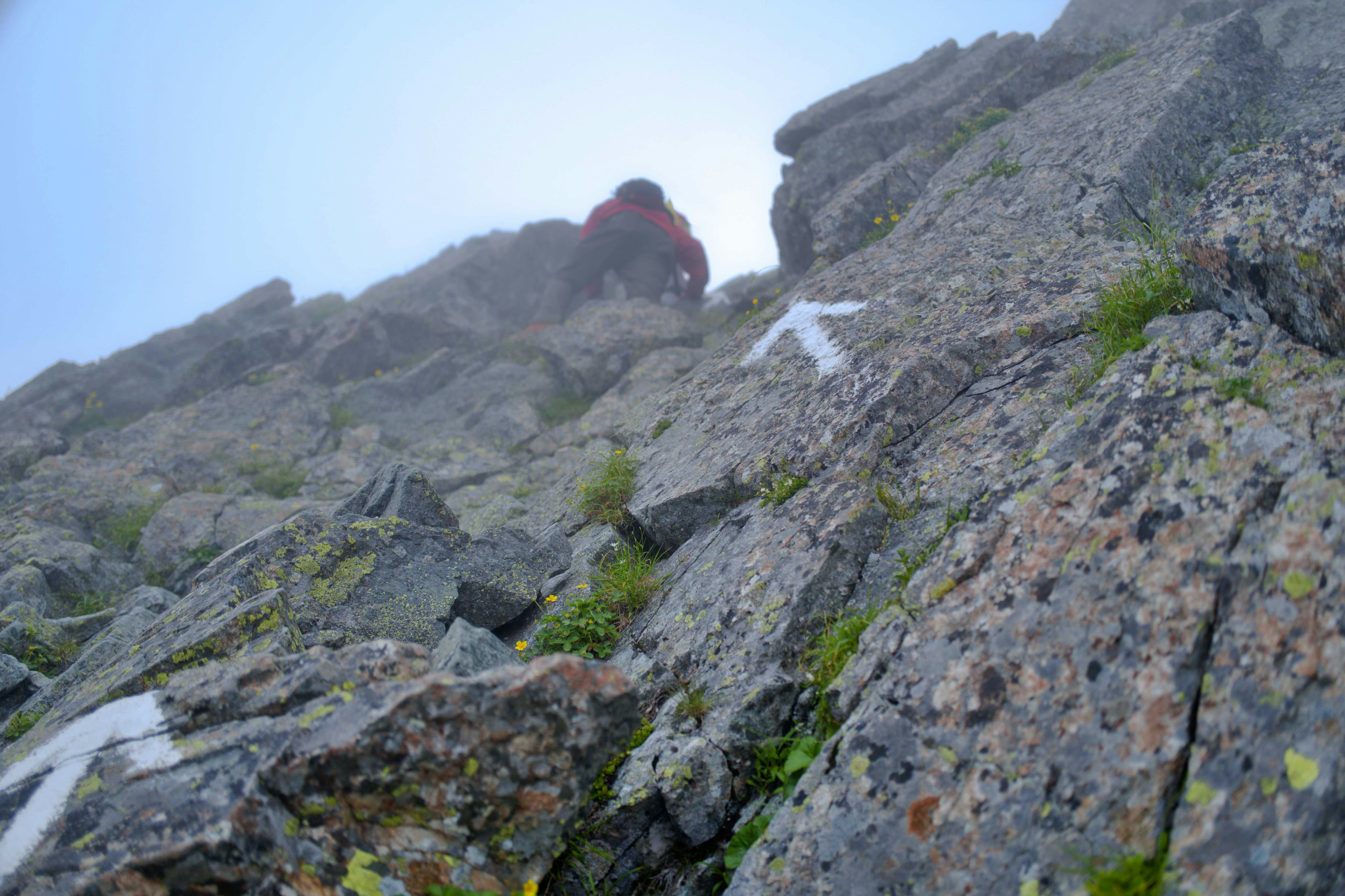 岩場を登る登山者の背中が見える山の稜線